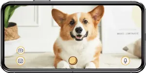 furbo dog camera argos