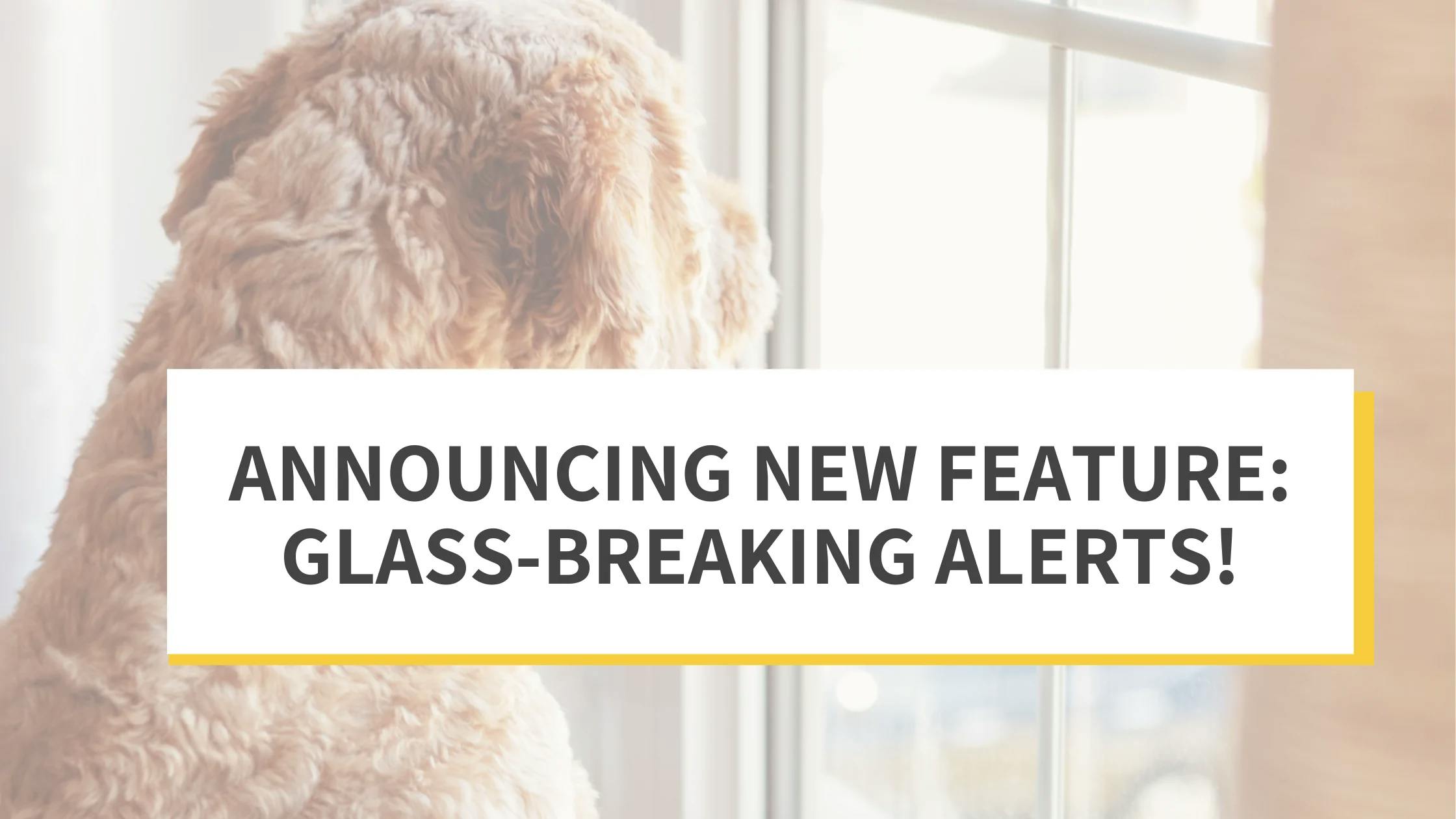 New Feature: Glass-Breaking Alerts!