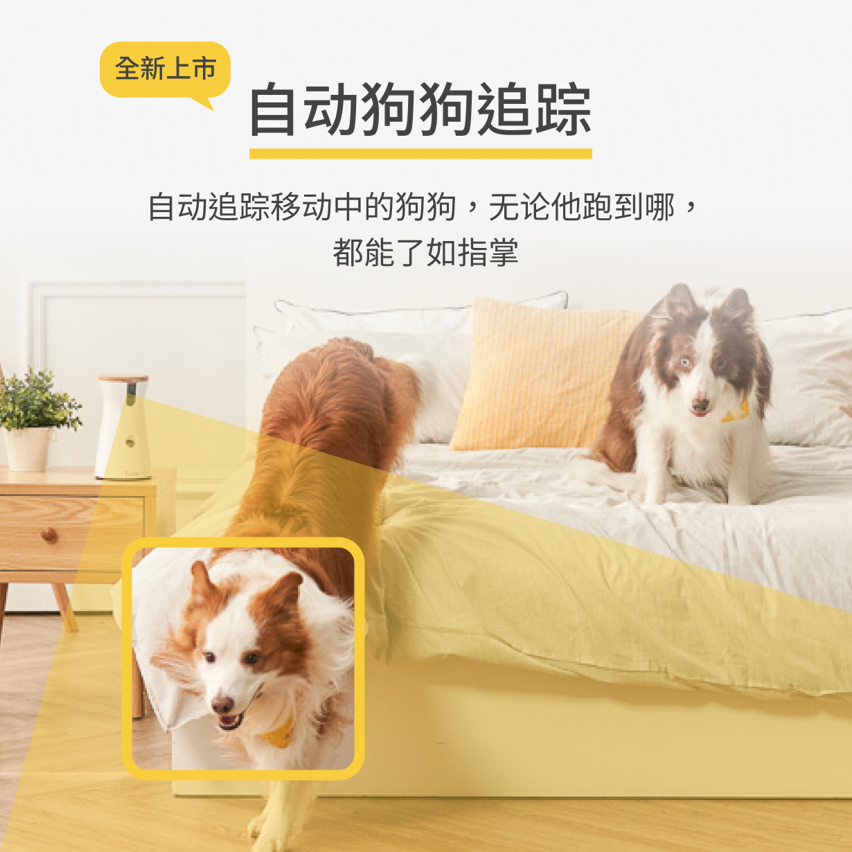 cn-pdp-furbo-dog-tracking.jpg