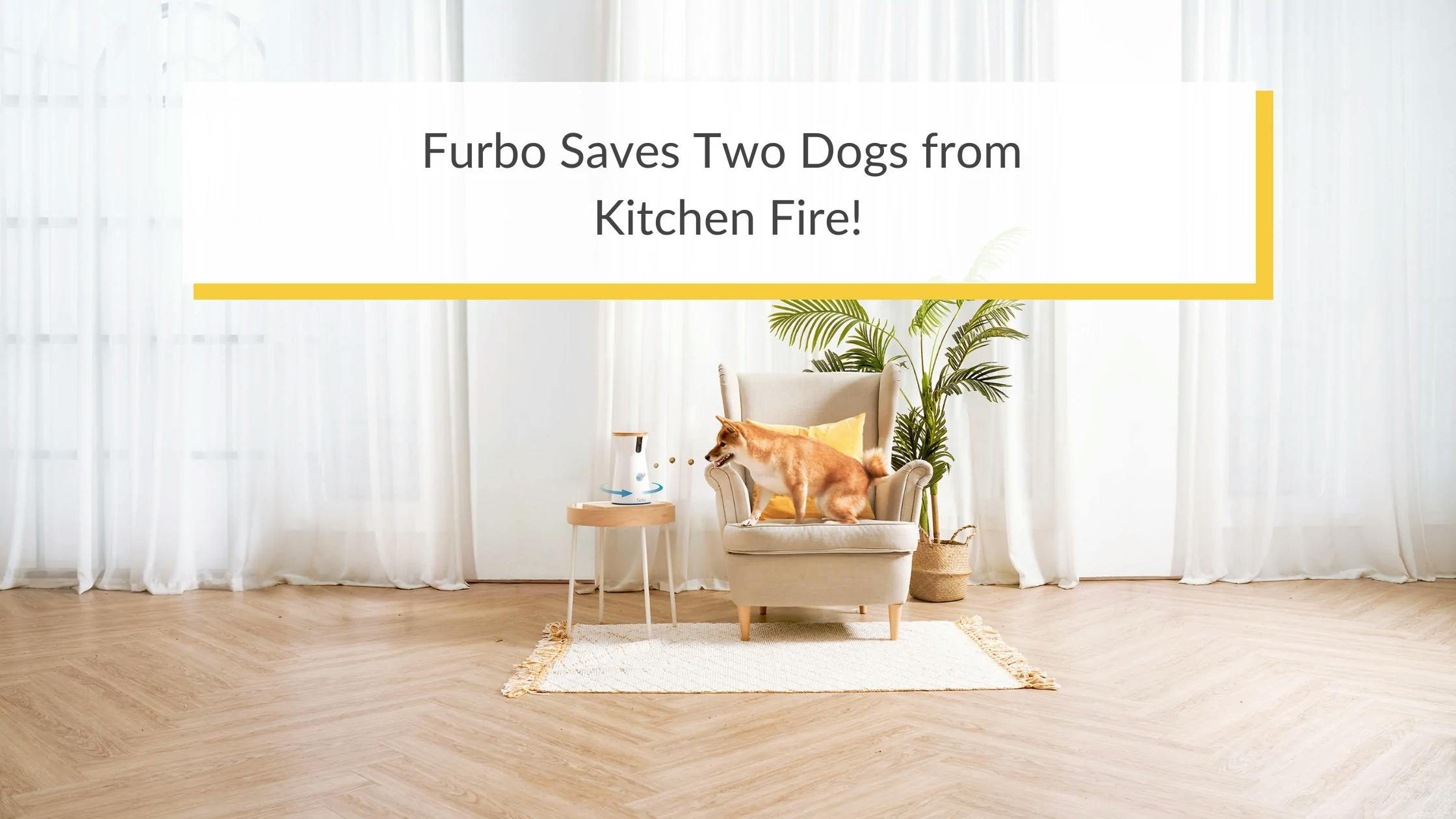 Furbo Saves Beloved Dogs from Fire!