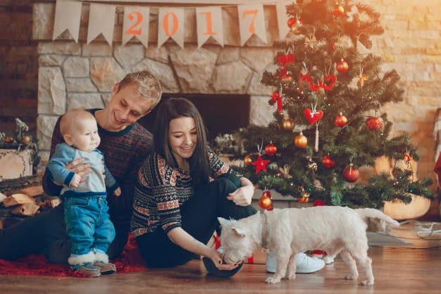 Family and the dog