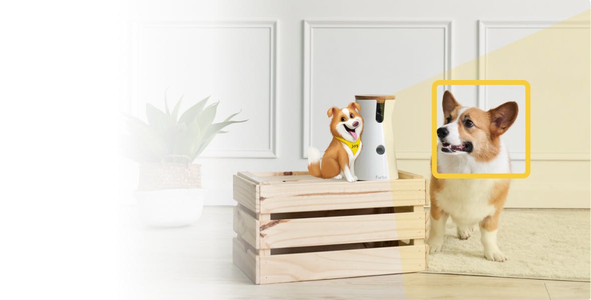 Furbo Dog Camera with an optional subscription to Furbo Dog Nanny’s features for £6.99 a month! 
