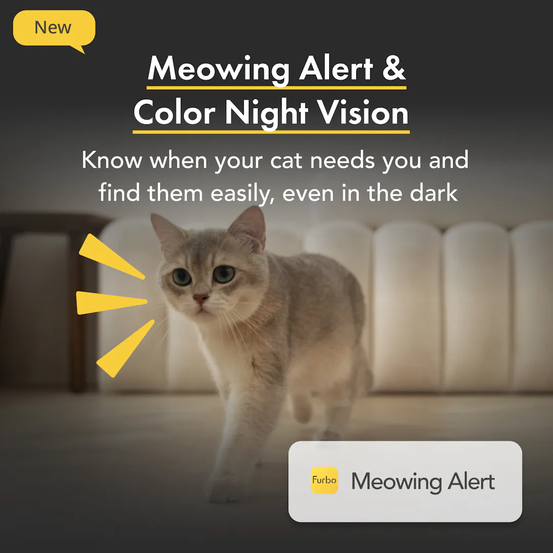 Furbo Cat Camera|Pet Camera designed specifically for cats