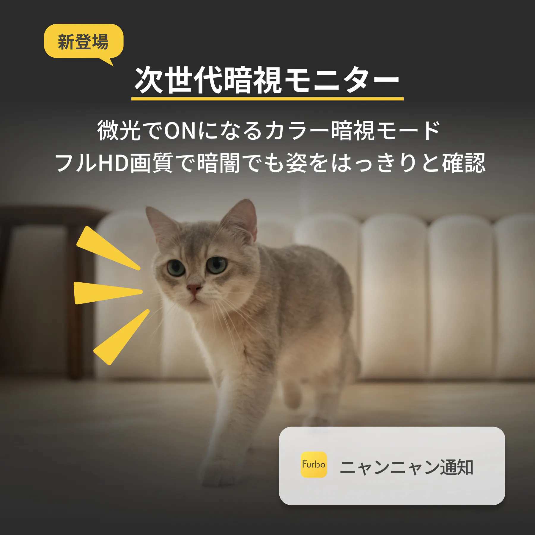 公式】Furboネコカメラ - 360°ビュー｜最大81% OFF? 商品詳細