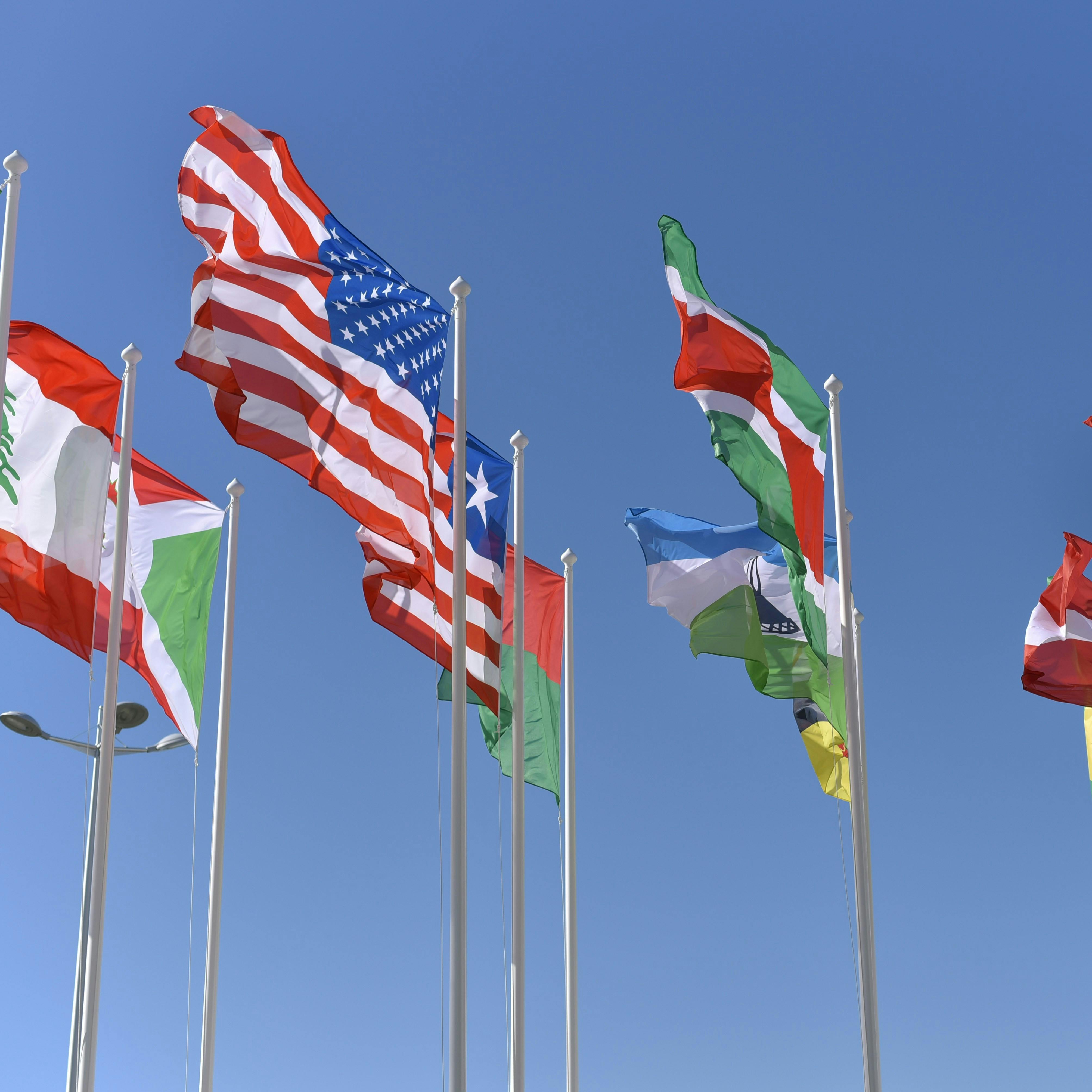 World Flags Image
