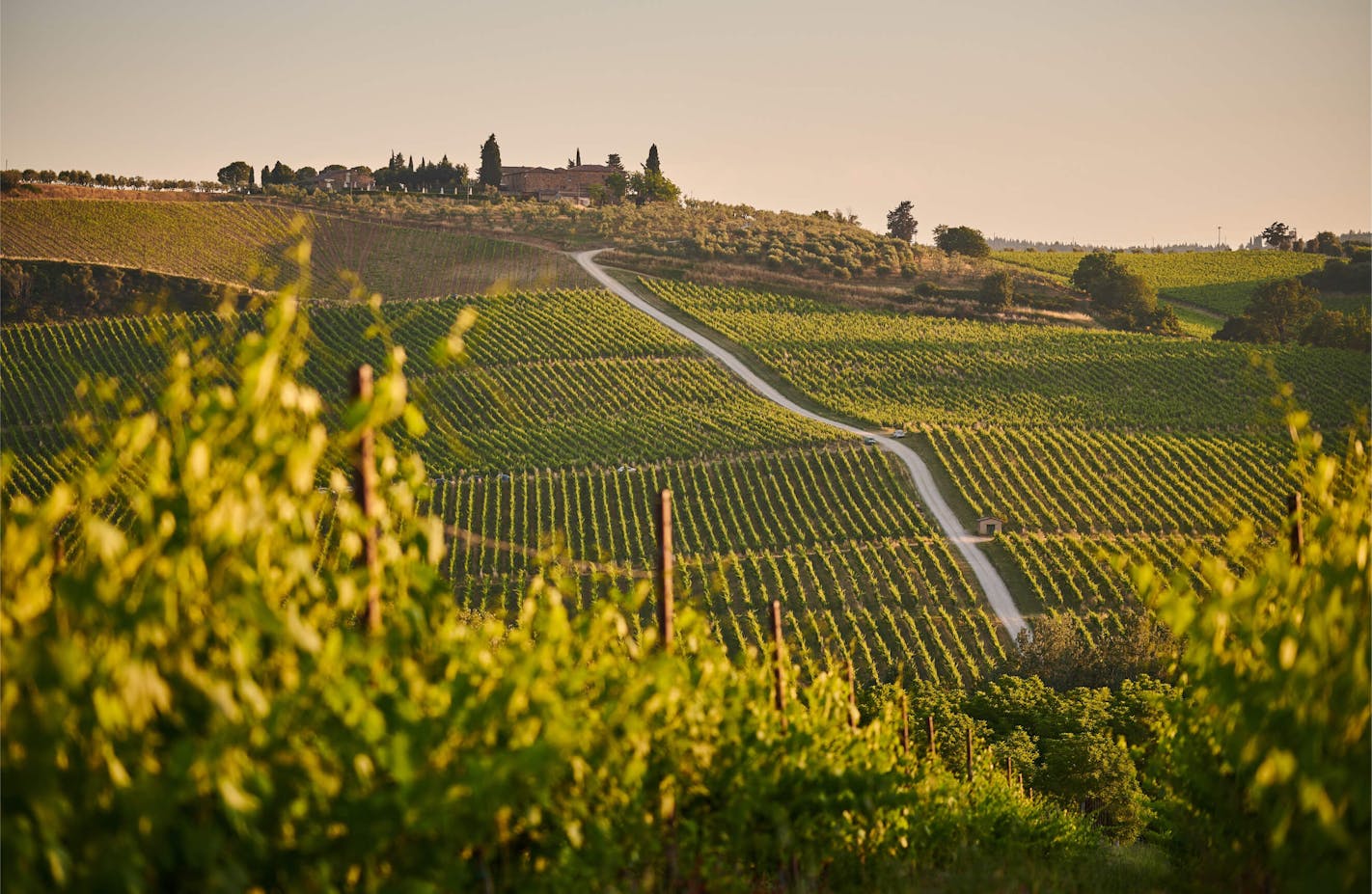 Picturesque landscape during the dusk