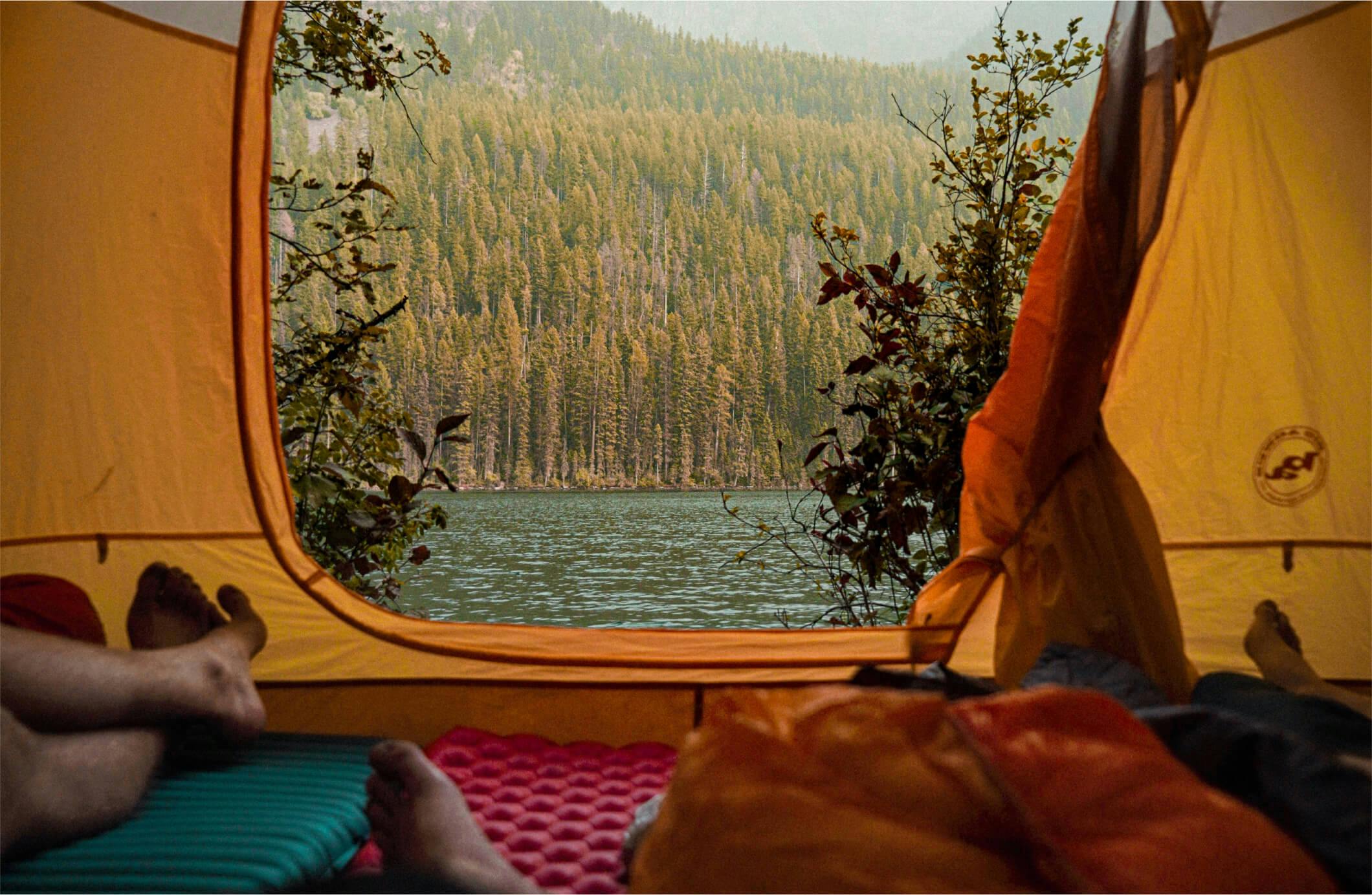 Forest view from inside of a tent