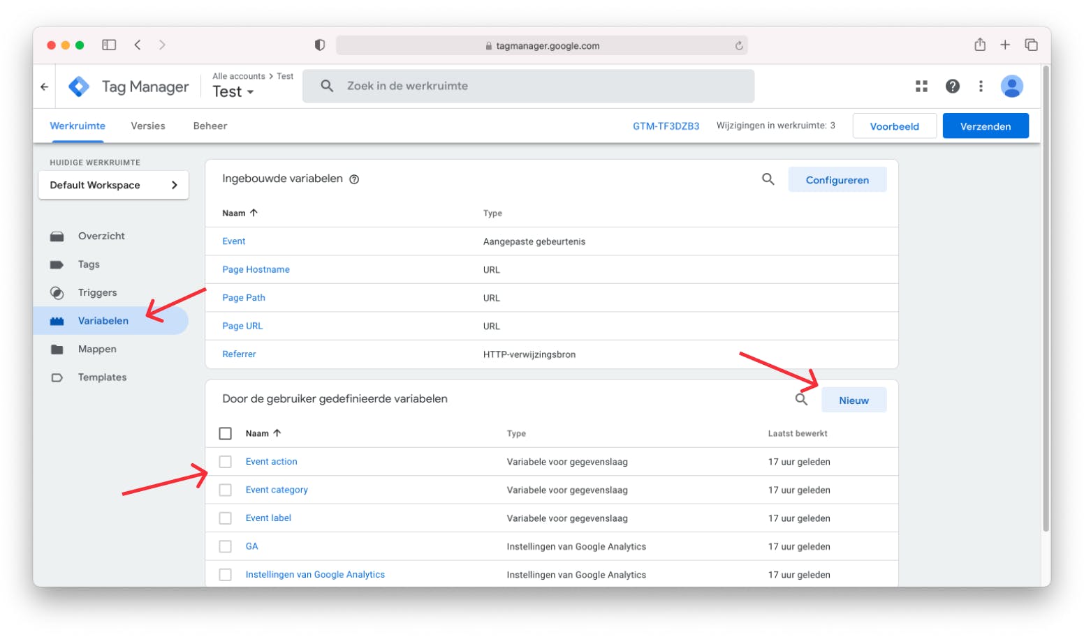 variabelen google tag manager