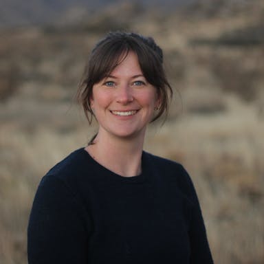 Liz Stebbins profile