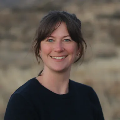 Liz Stebbins profile