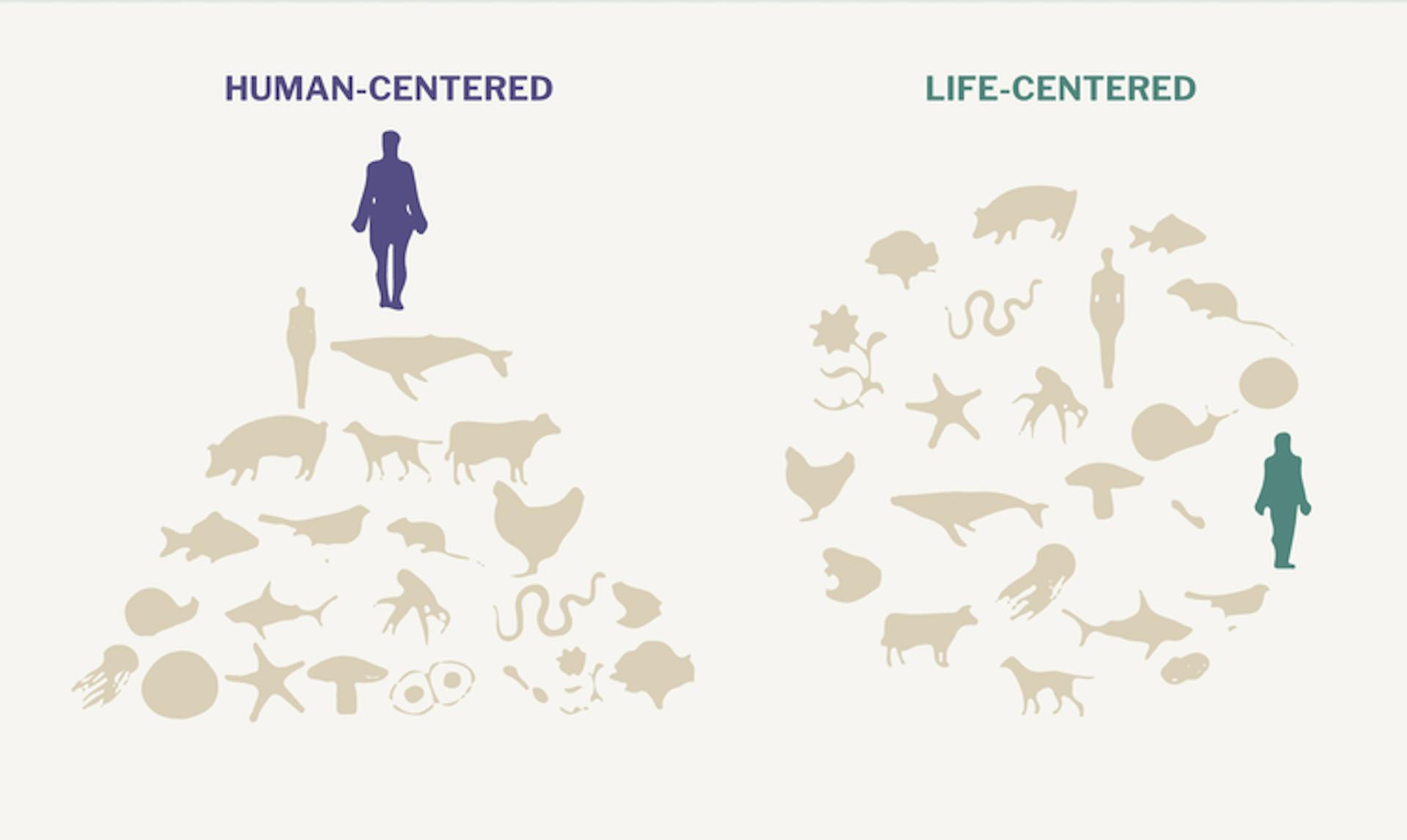 Diagram showing human-centered and life-centered ideologies