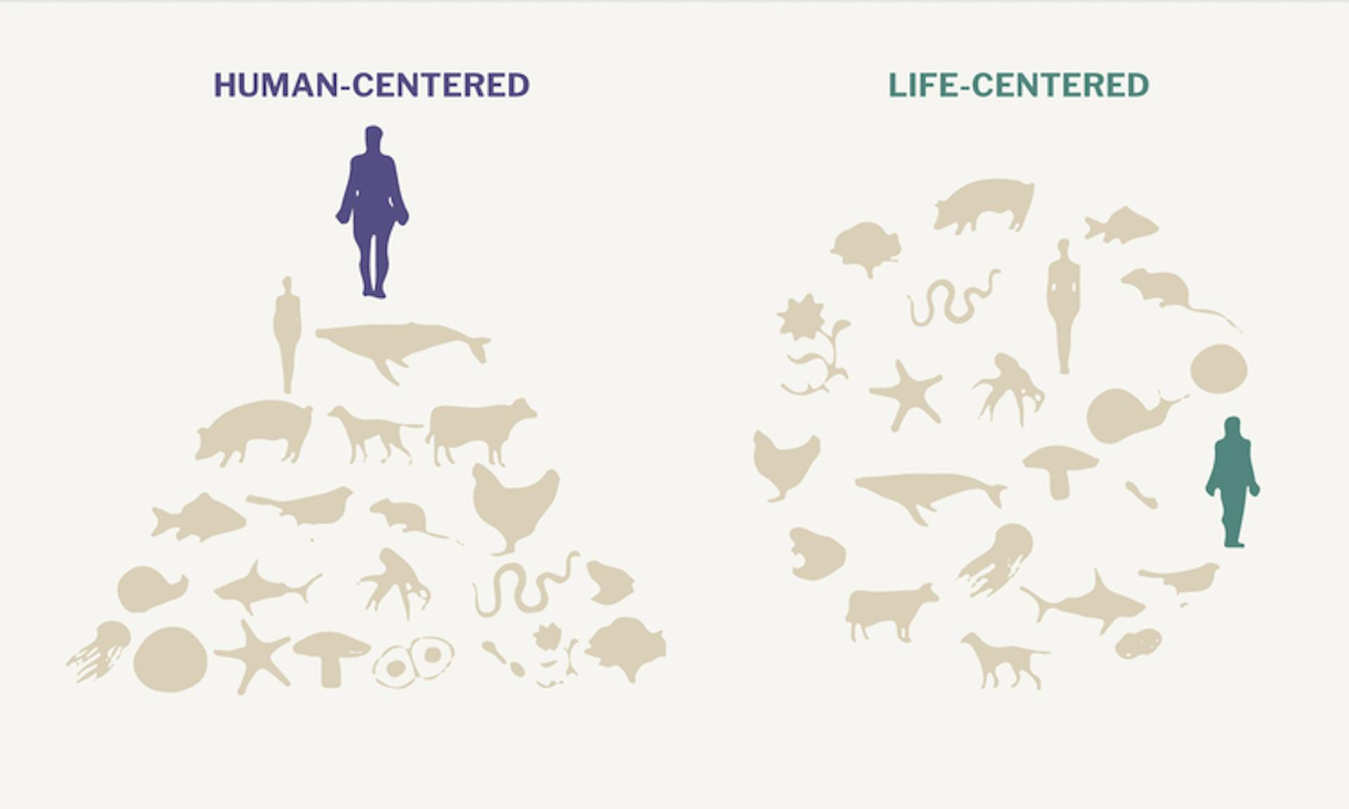 Diagram showing human-centered and life-centered ideologies