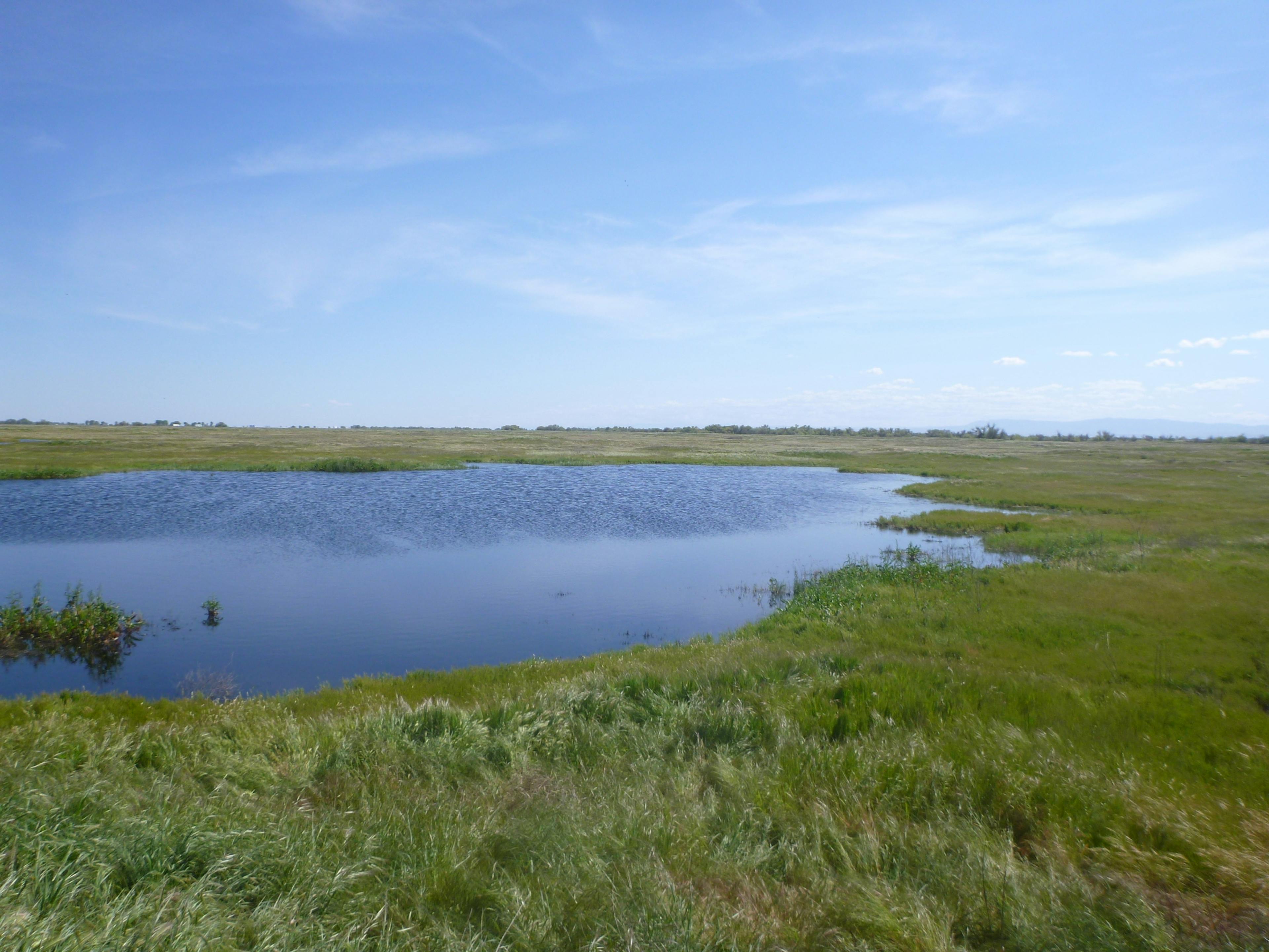 Photo of Great Valley Grasslands