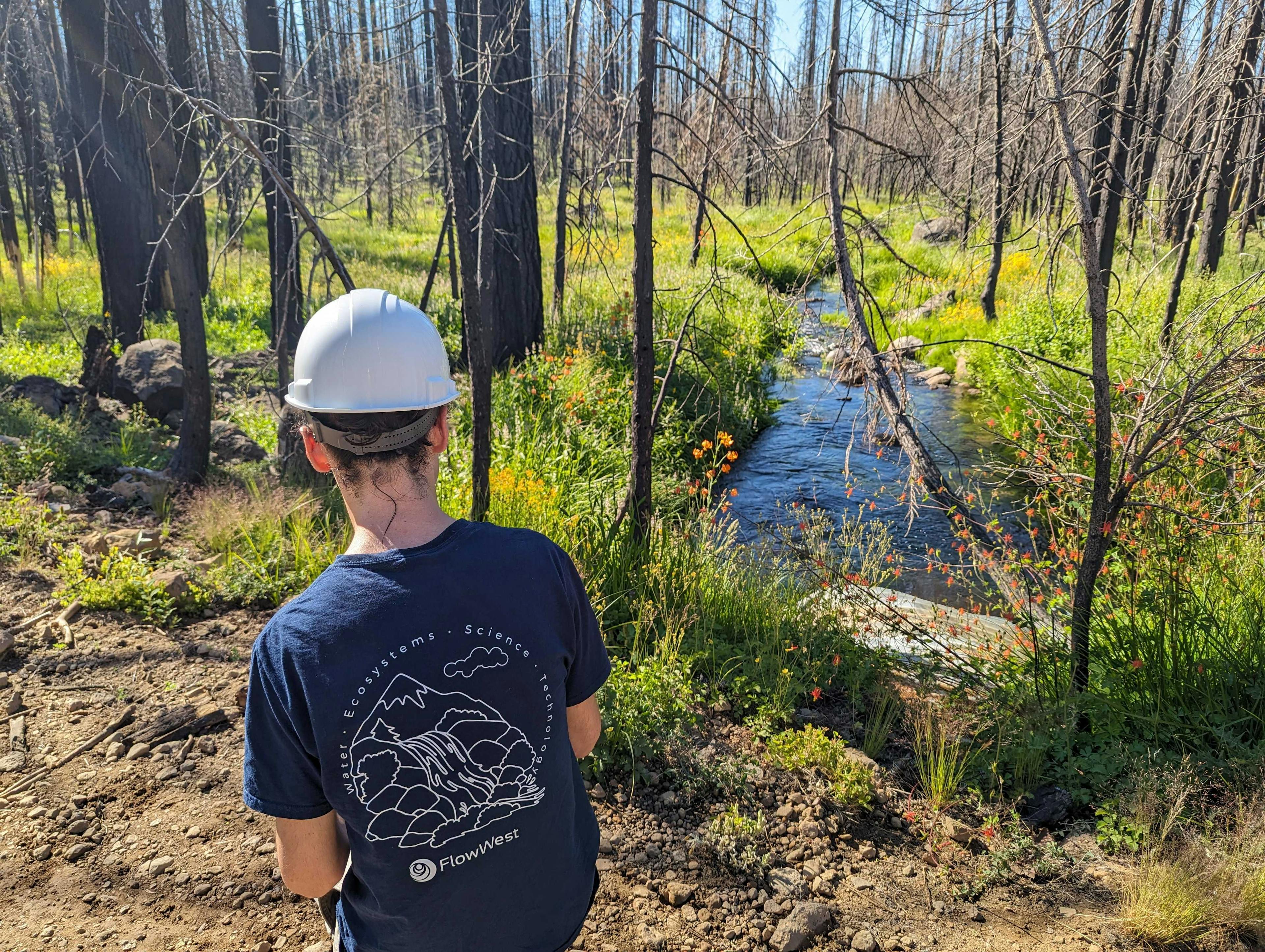 Skyler Lewis wearing a hardhat and flowwest shirt in Lassen National Forest doing fieldwork.