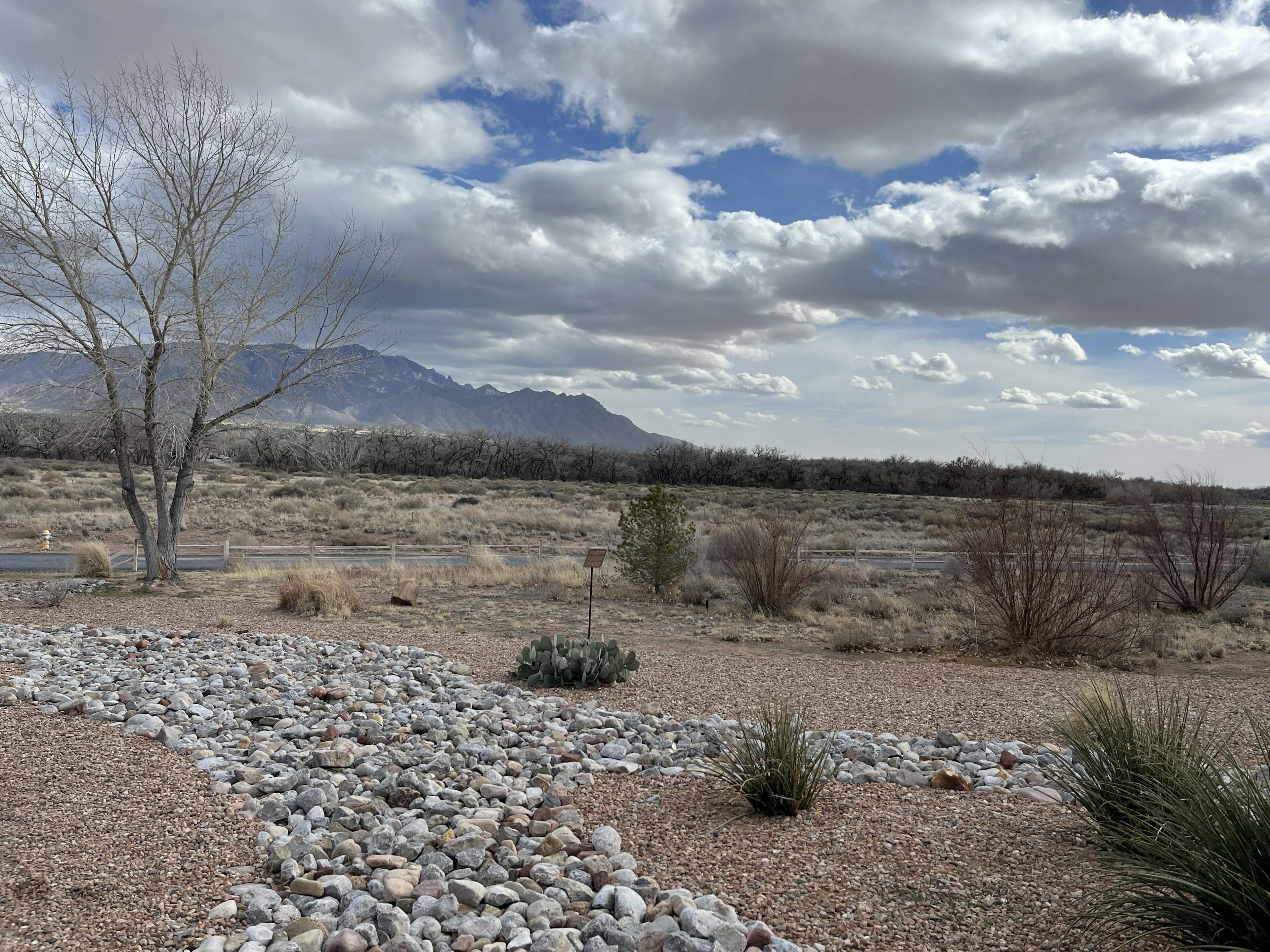 landscape of rocky terrain with tumbleweeds in New Mexico
