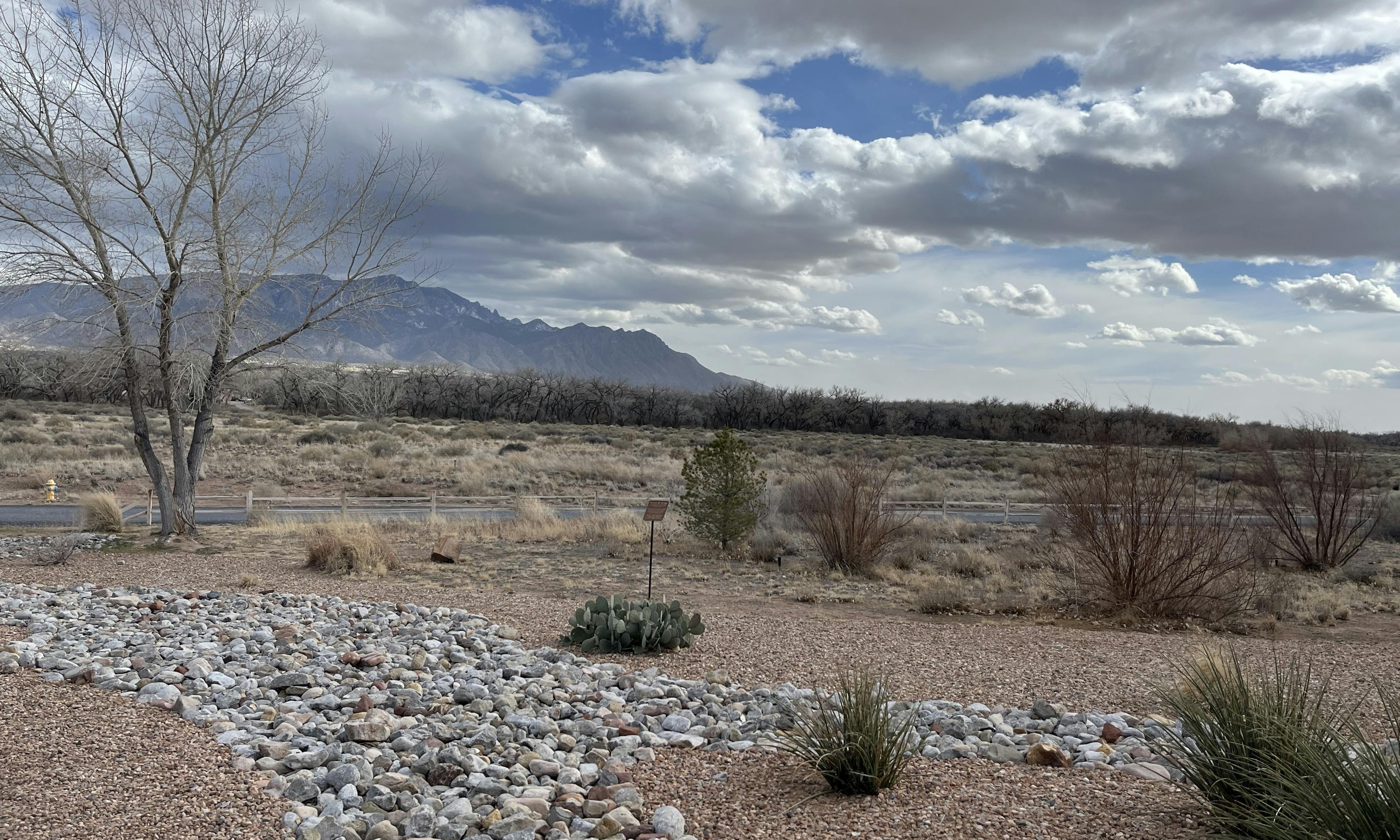 landscape of rocky terrain with tumbleweeds in New Mexico
