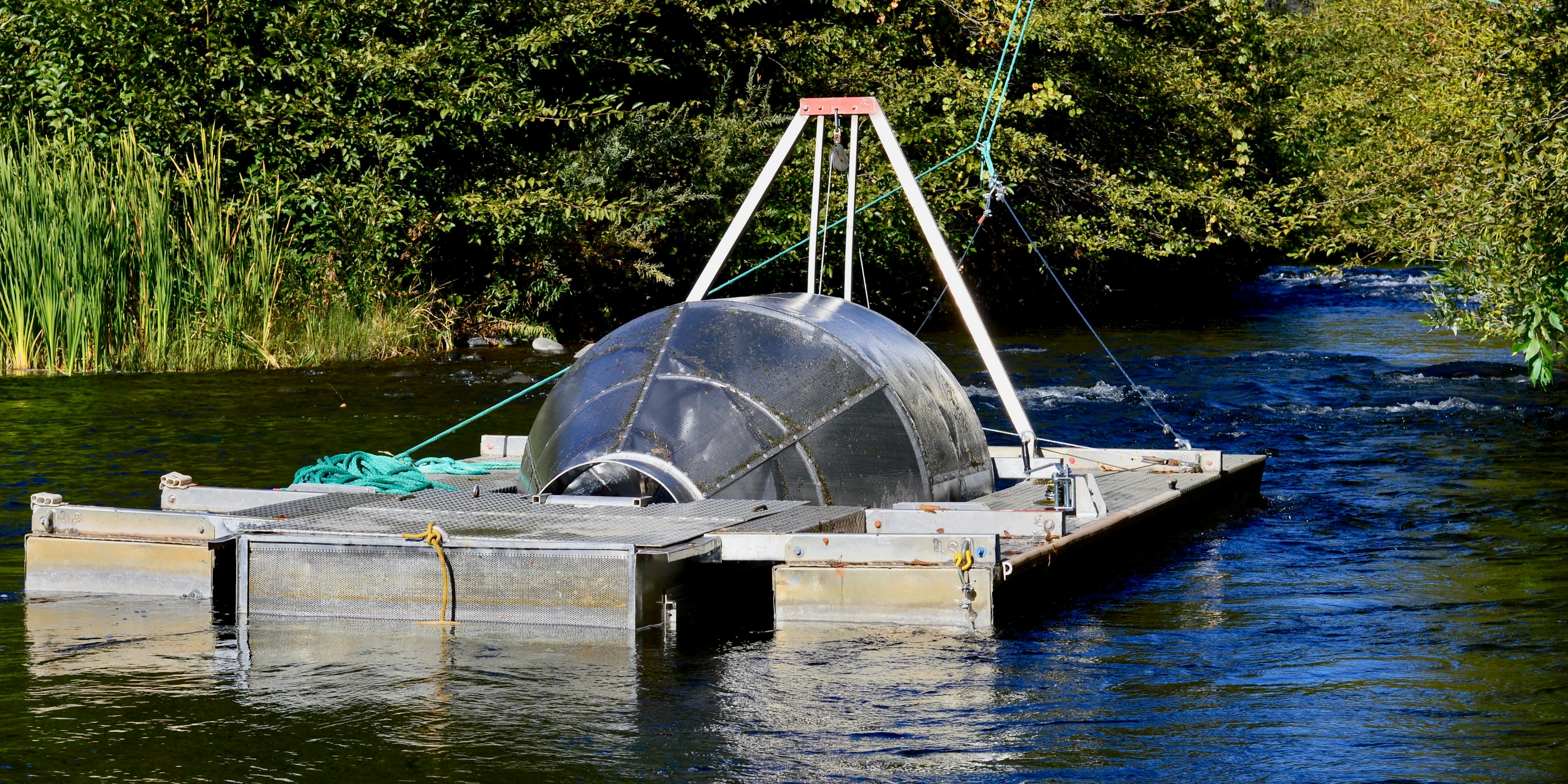 Photo of RST in California creek