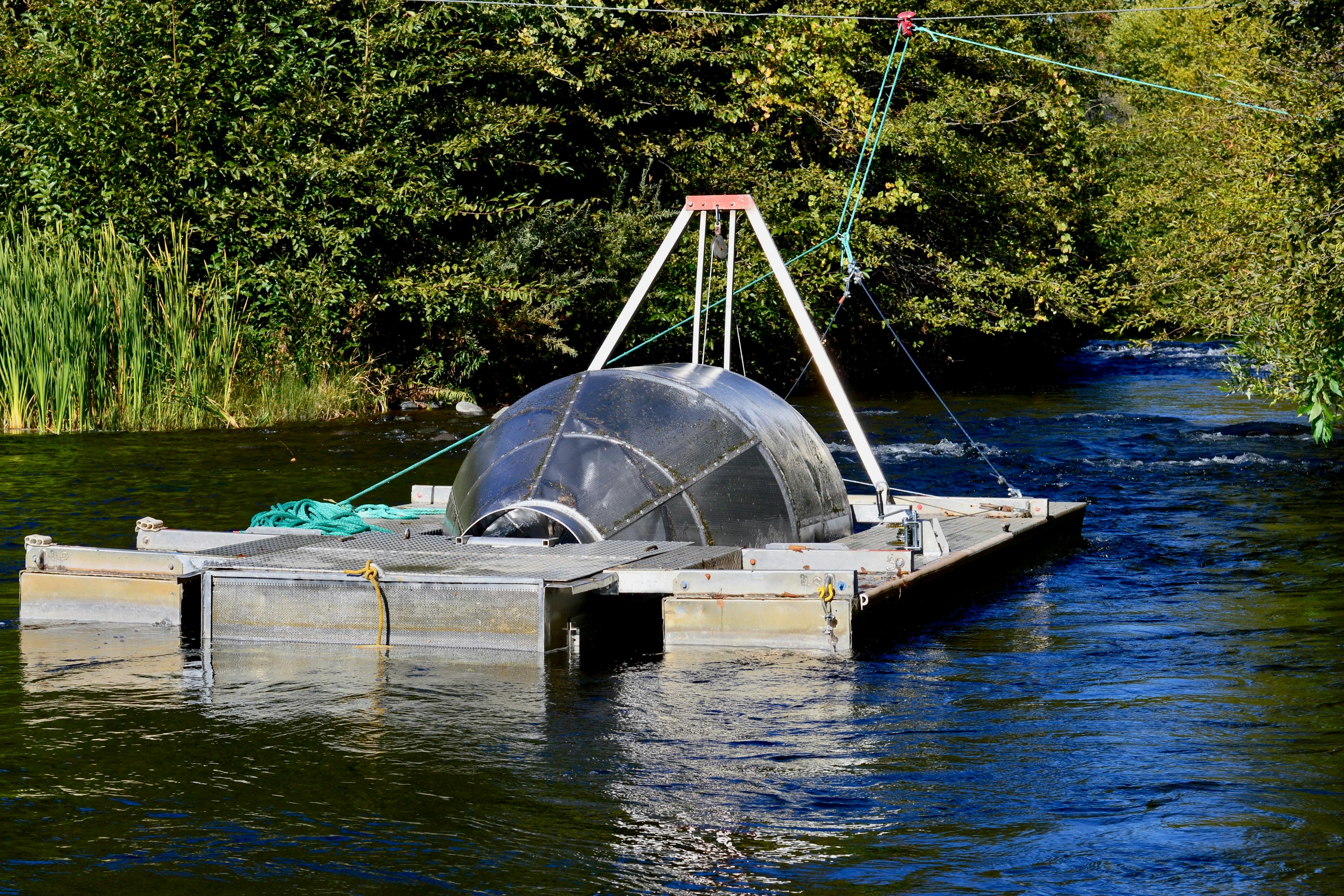 Photo of RST in California creek