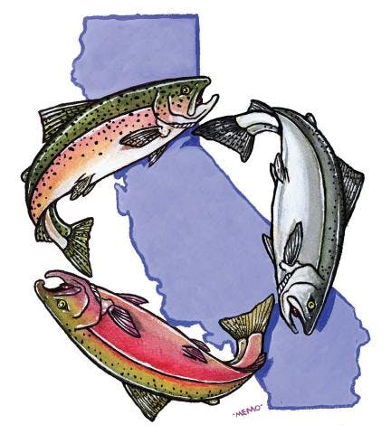 Salmon Restoration Federation Logo