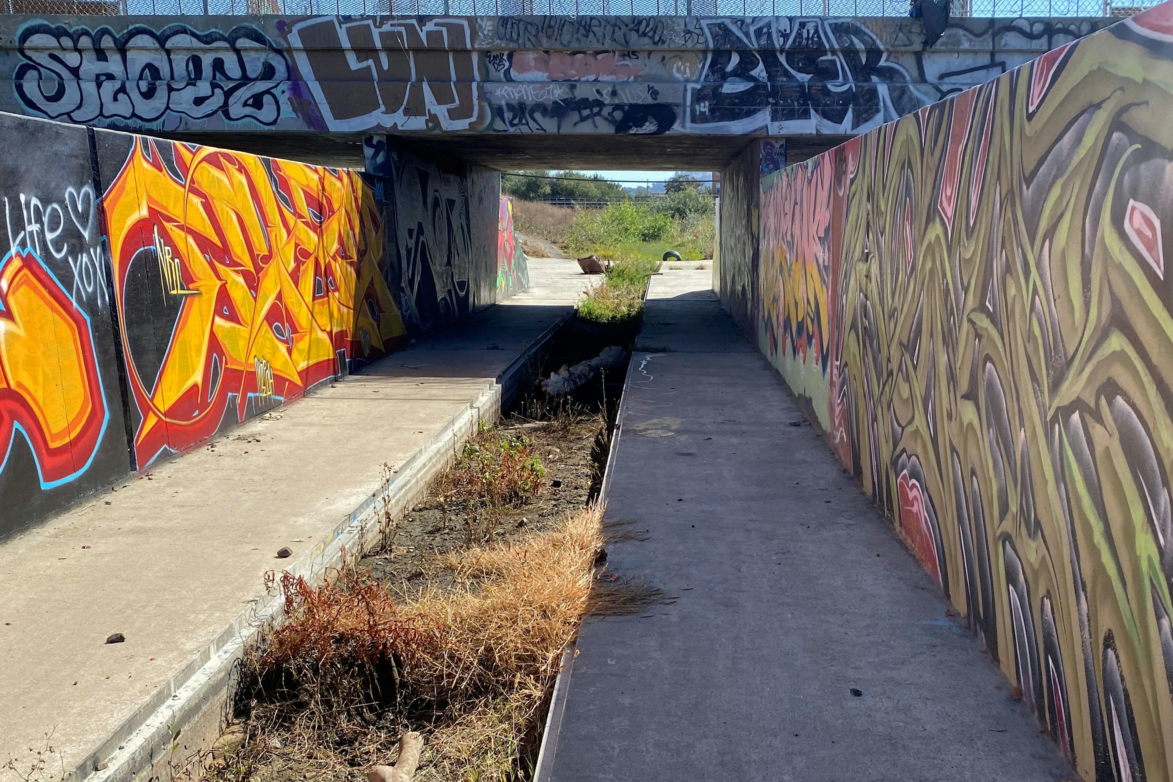 Wildcat Creek looking Upstream
