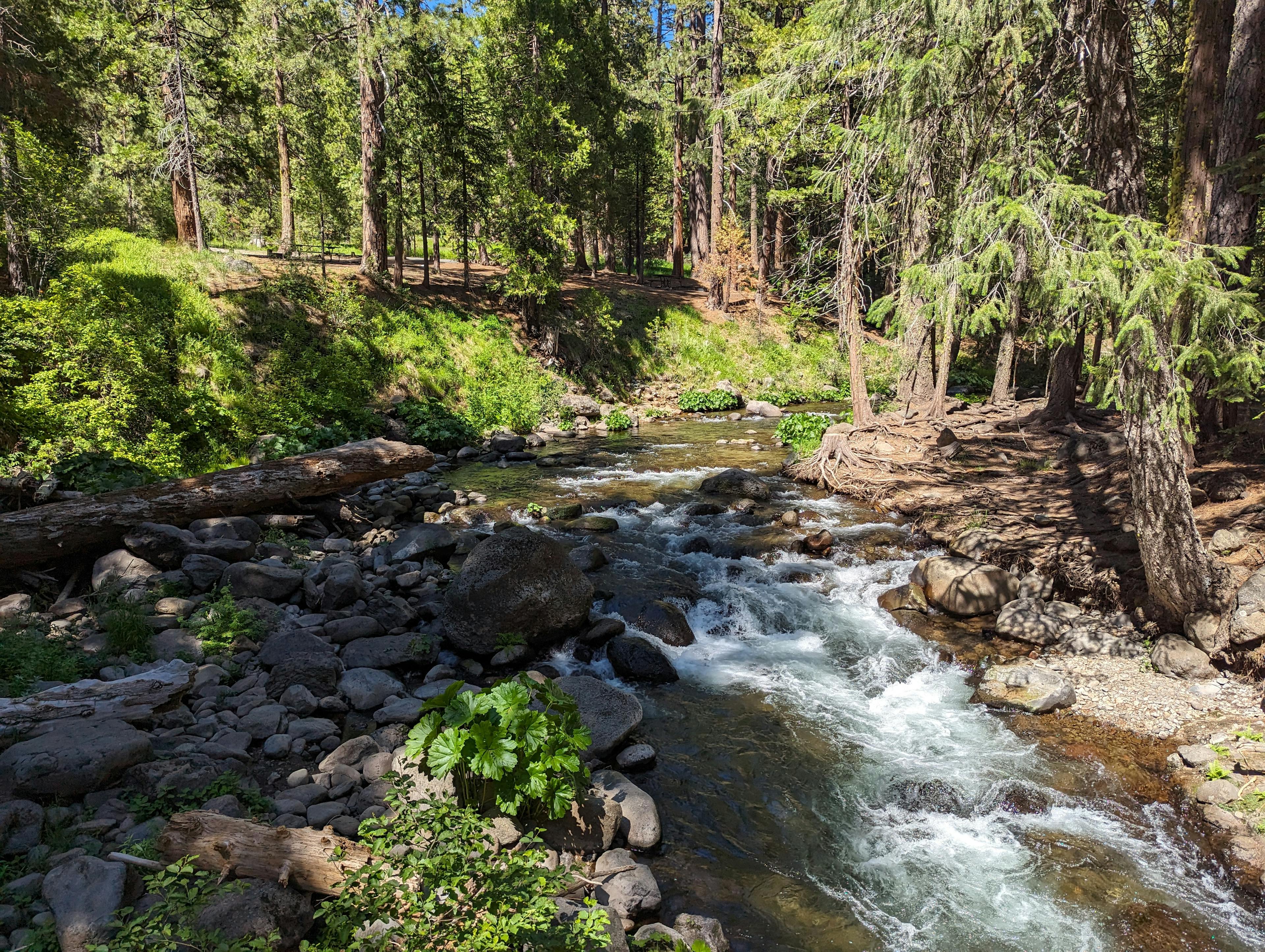 butte creek