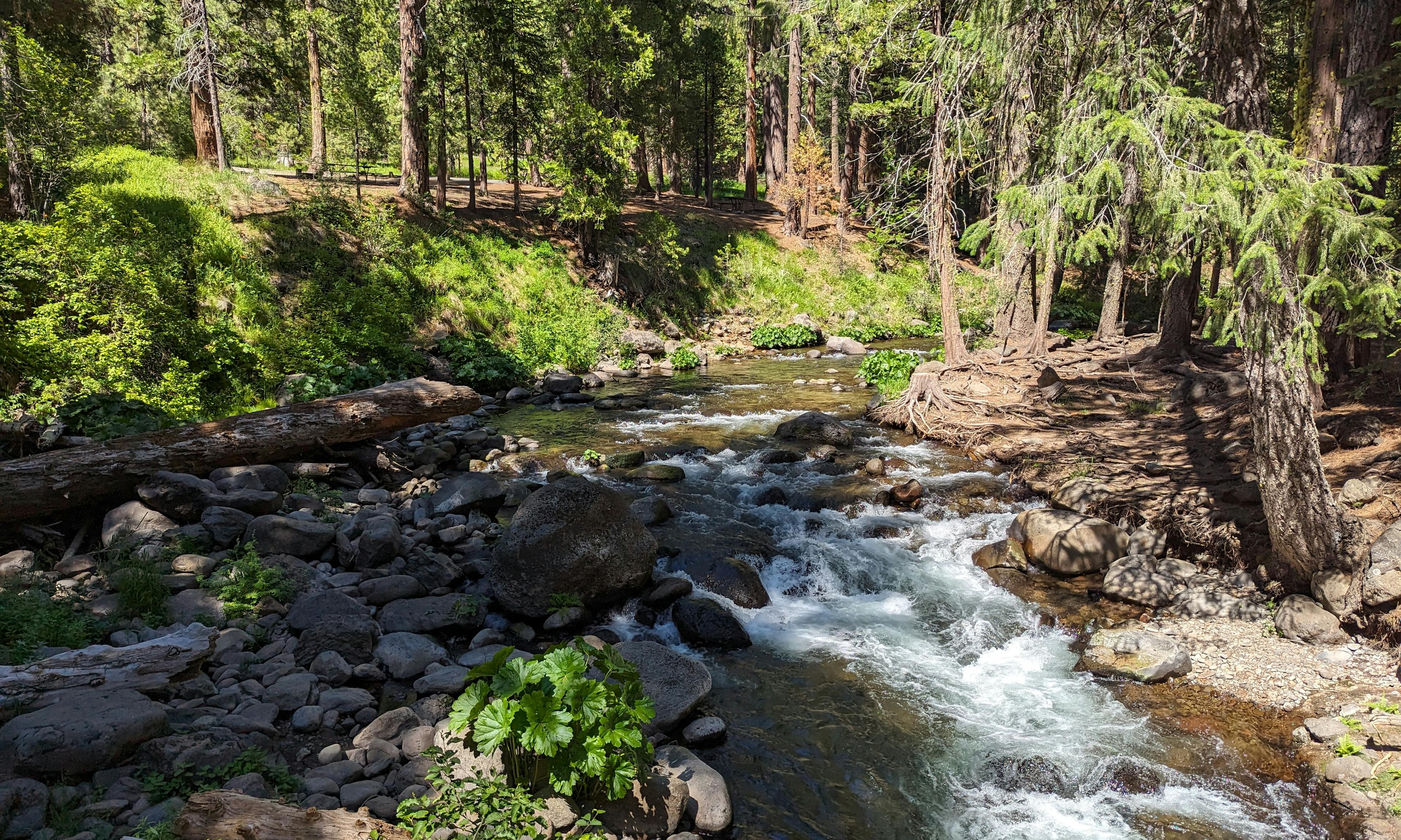 butte creek