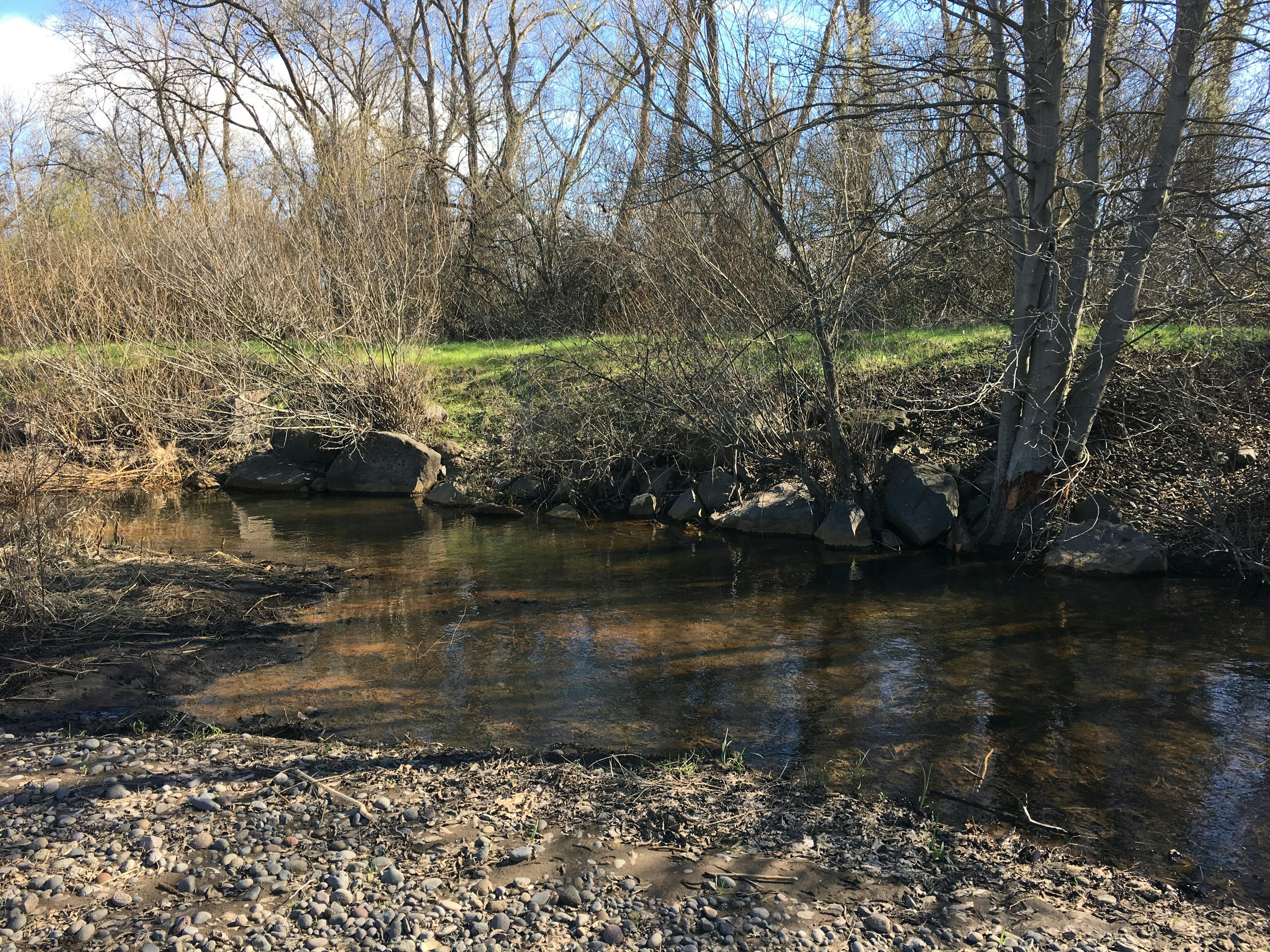deer creek
