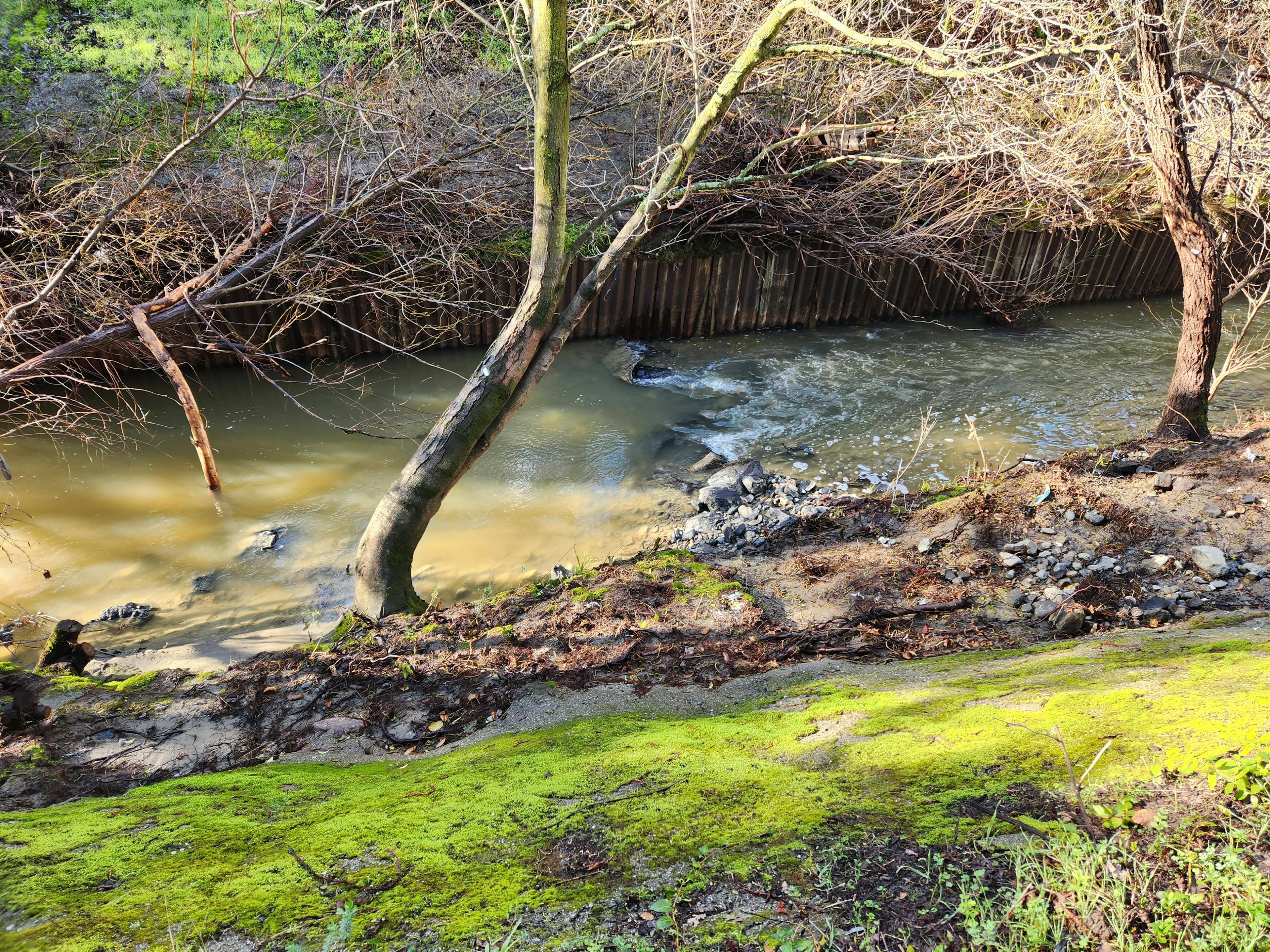 creek after construction