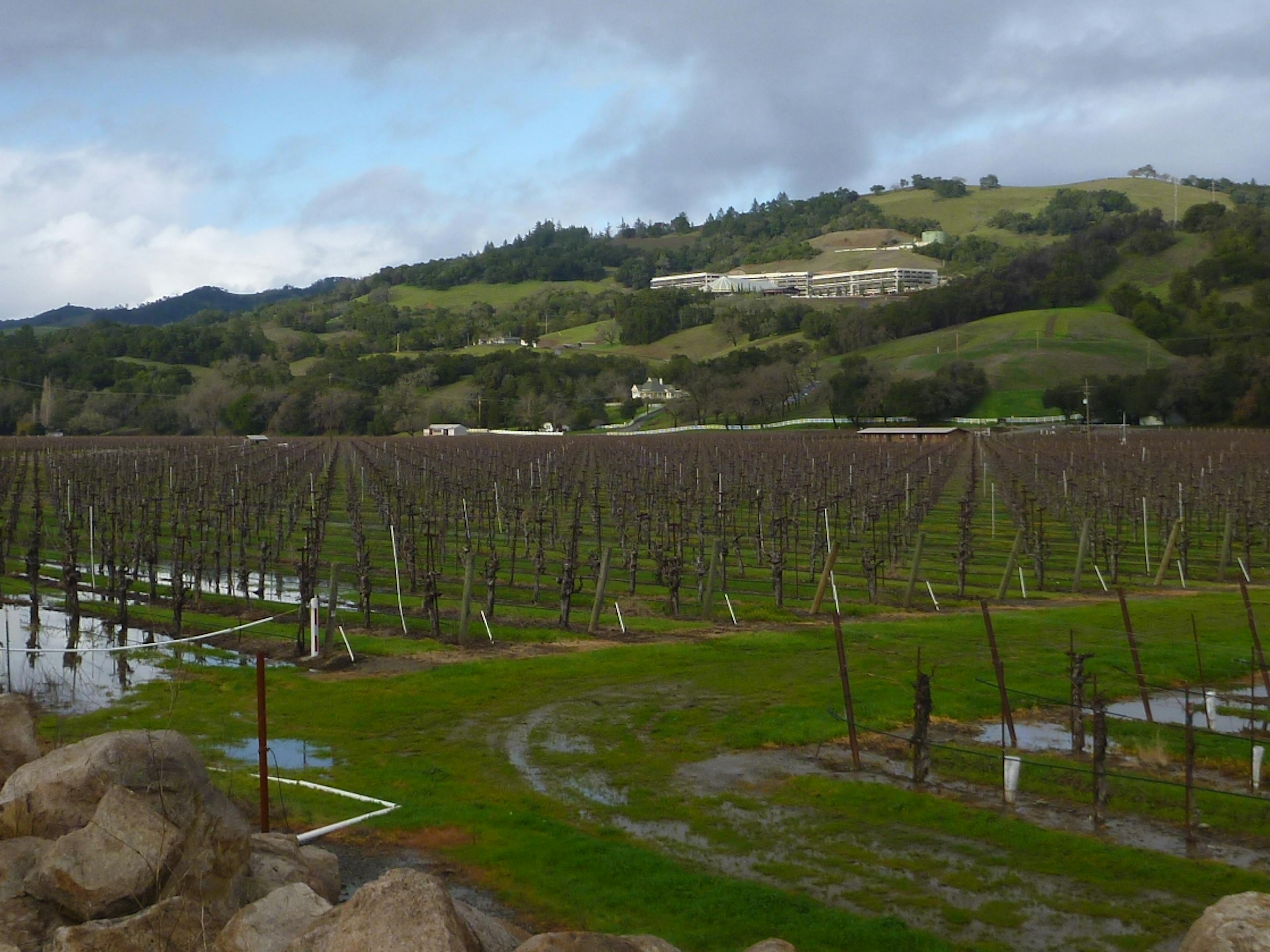 winery at dry creek rancheria