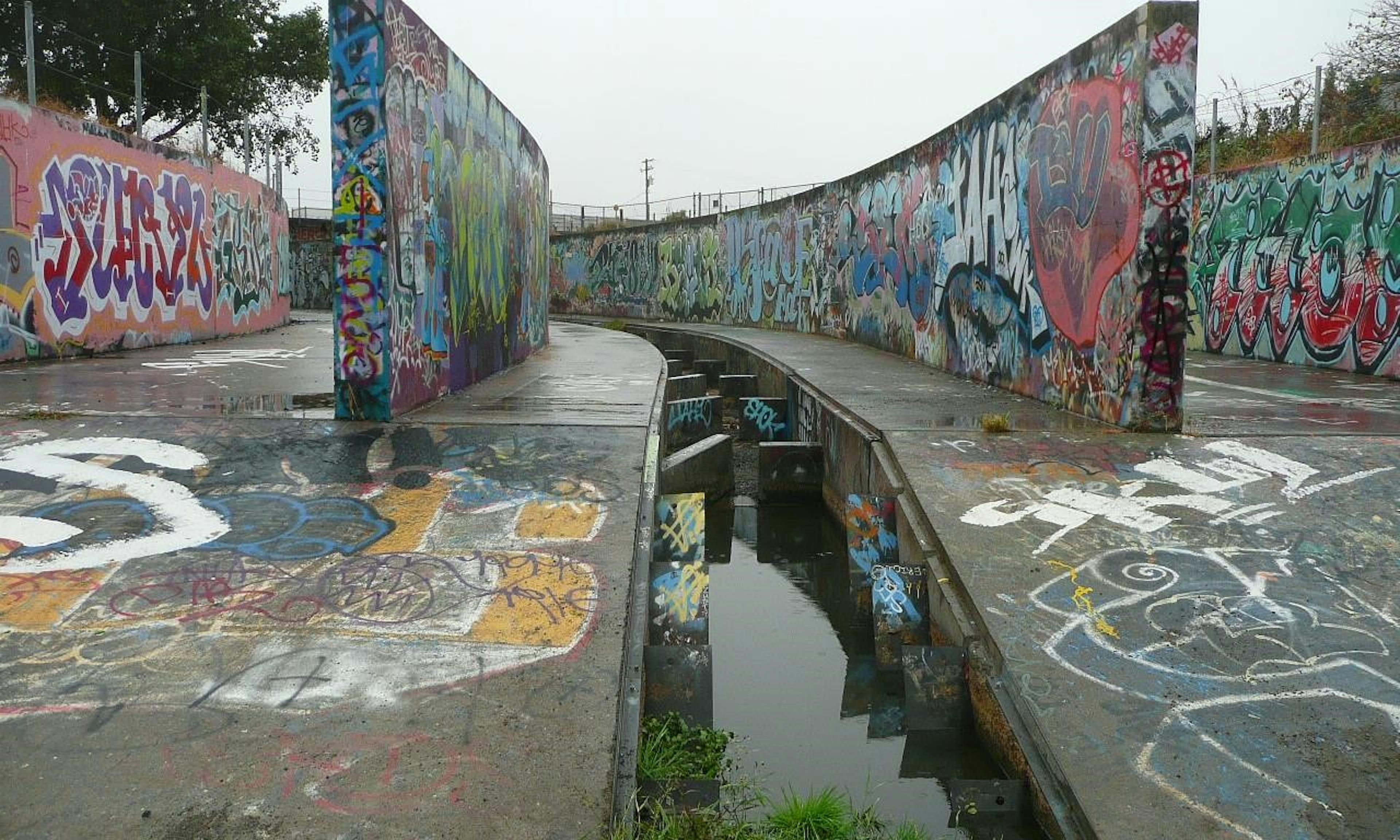 wildcat creek fish ladder covered in graffiti photo from watershed project