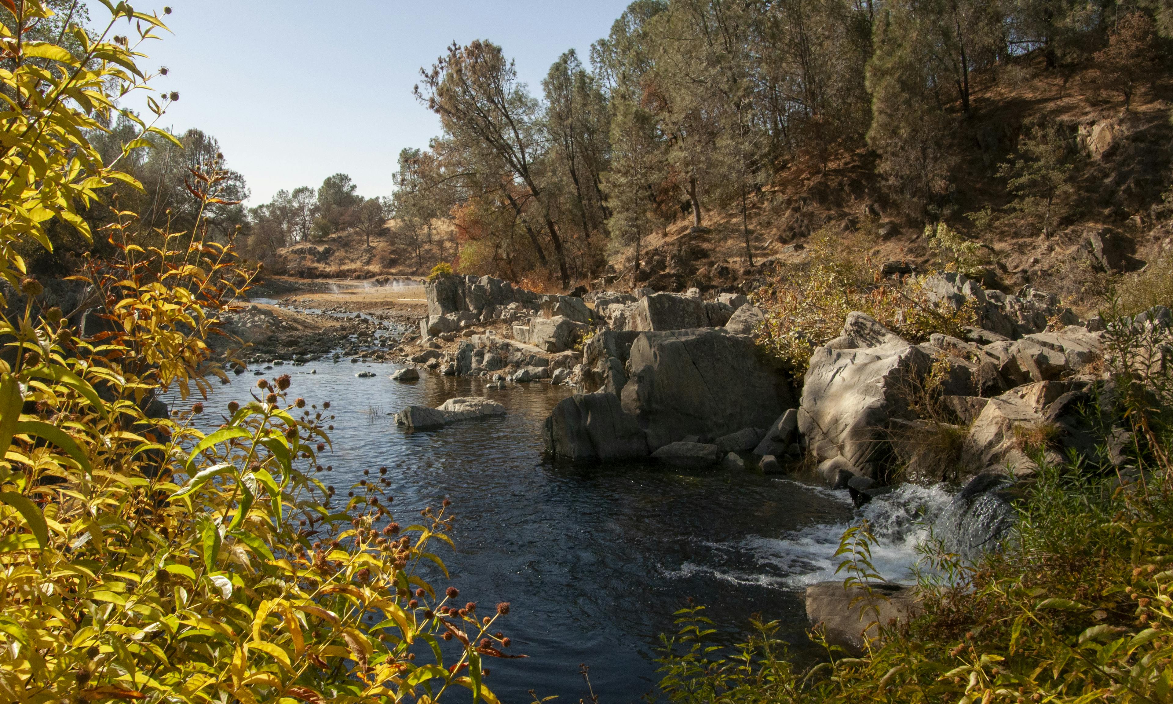 Dry Creek USFW