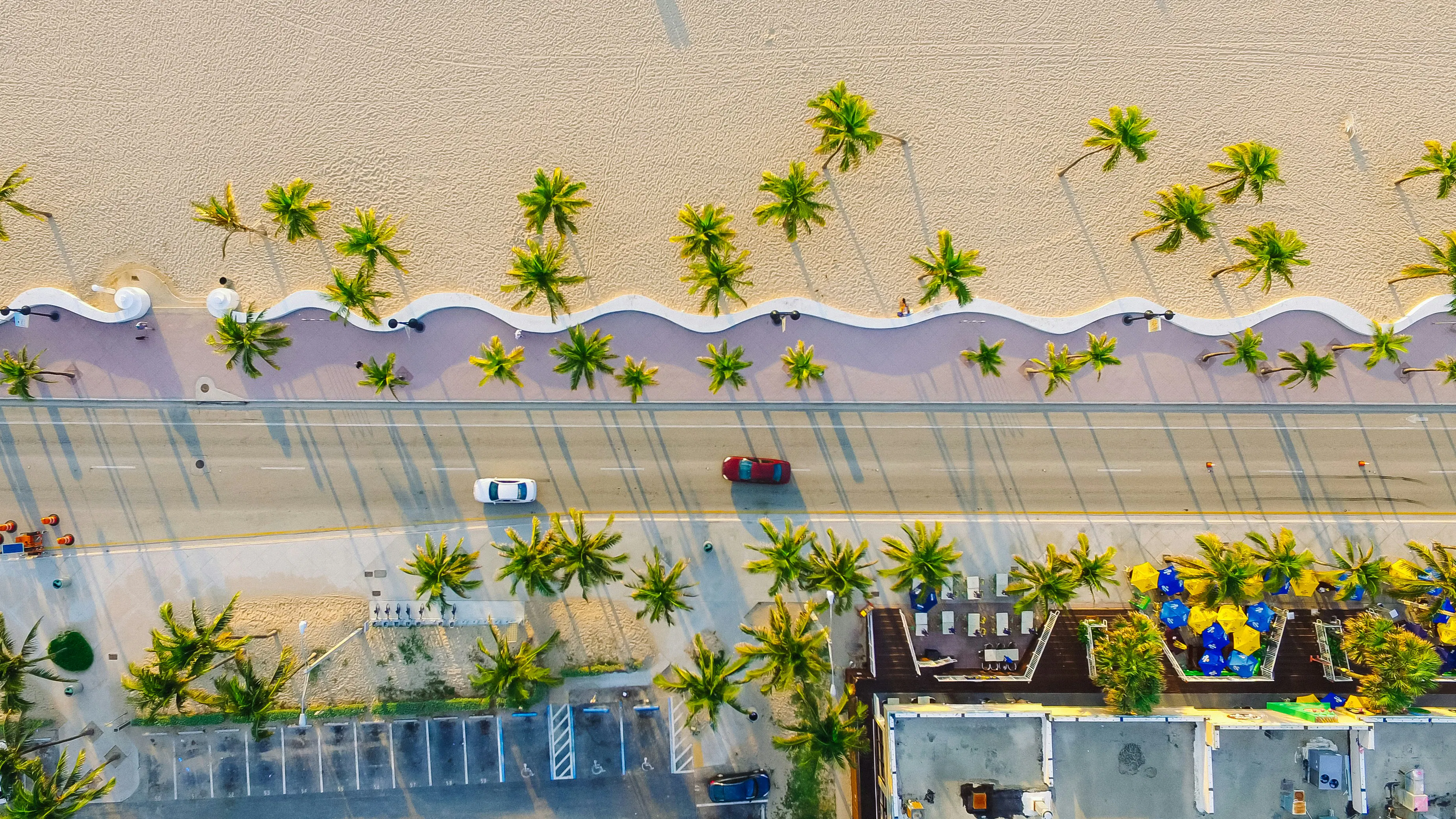 Aerial view of a palm-lined beach promenade with cars, sandy shoreline, and nearby buildings.
