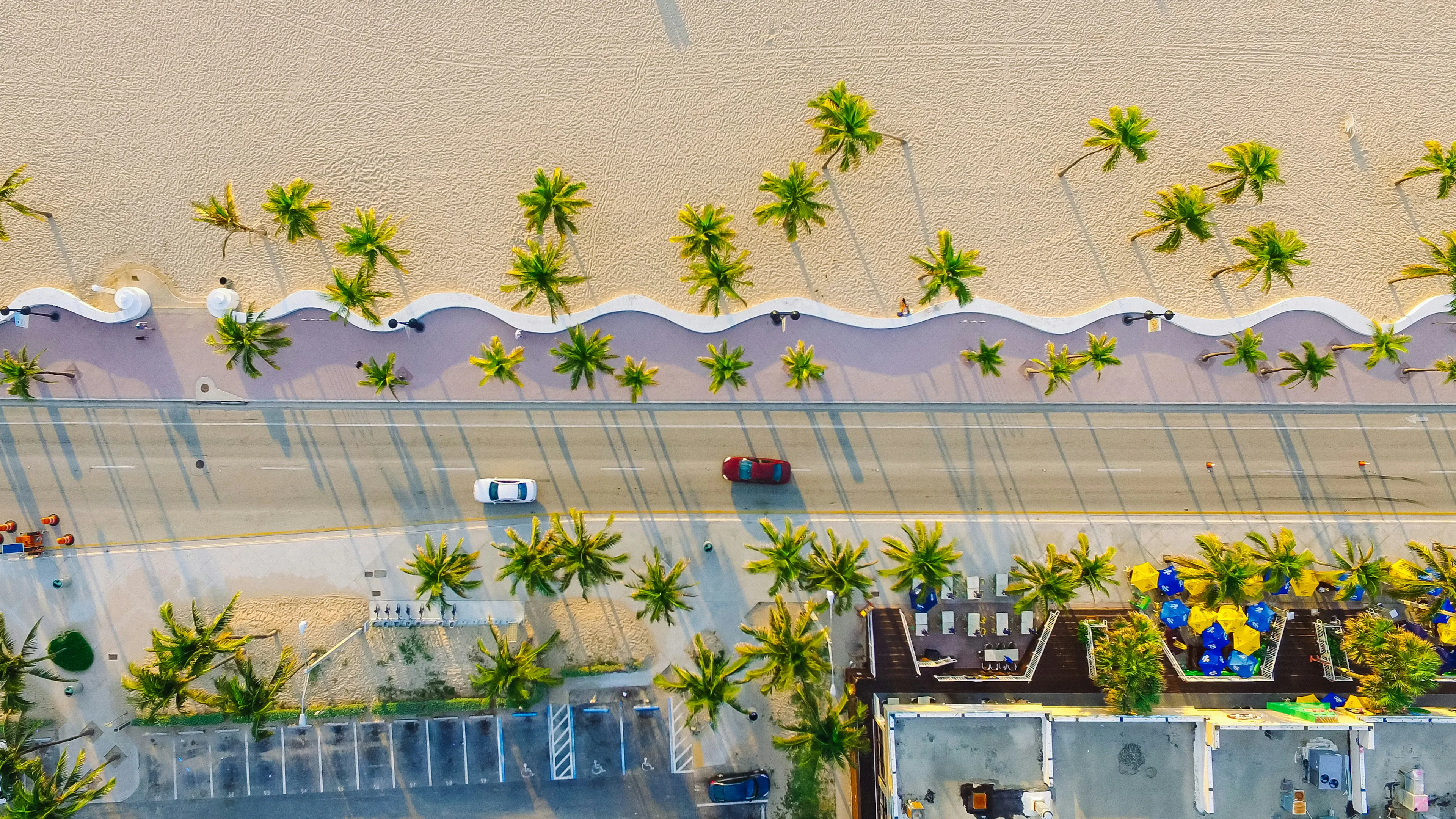Aerial view of a palm-lined beach promenade with cars, sandy shoreline, and nearby buildings.