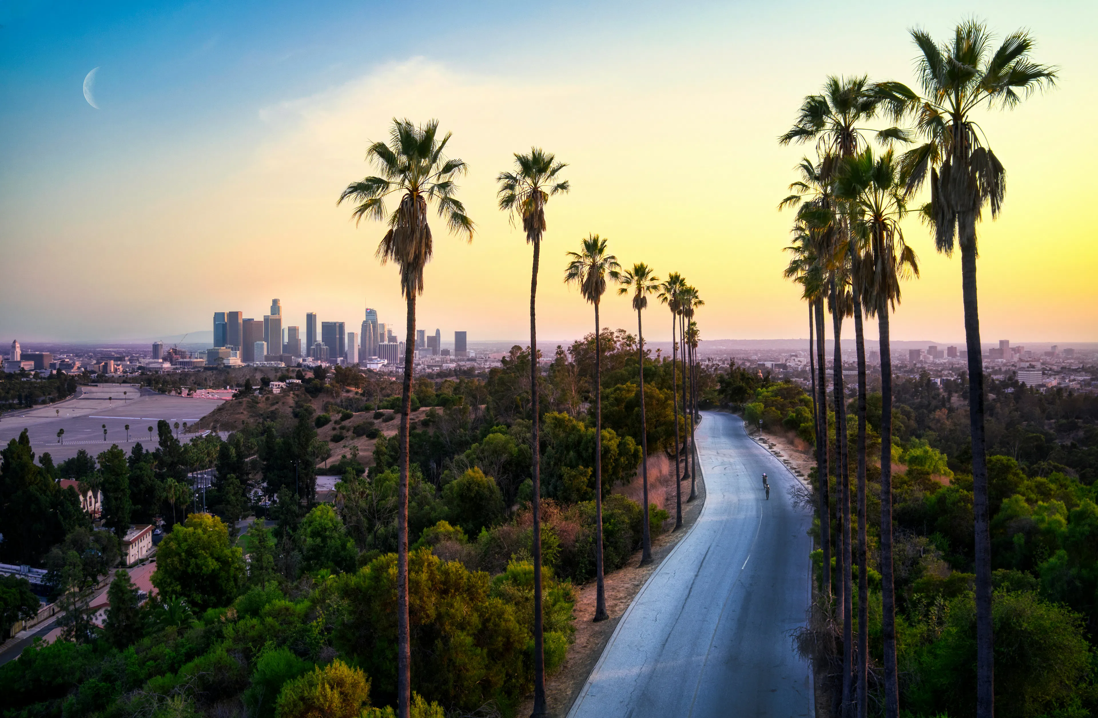 Los Angeles skyline framed by palm trees at sunset