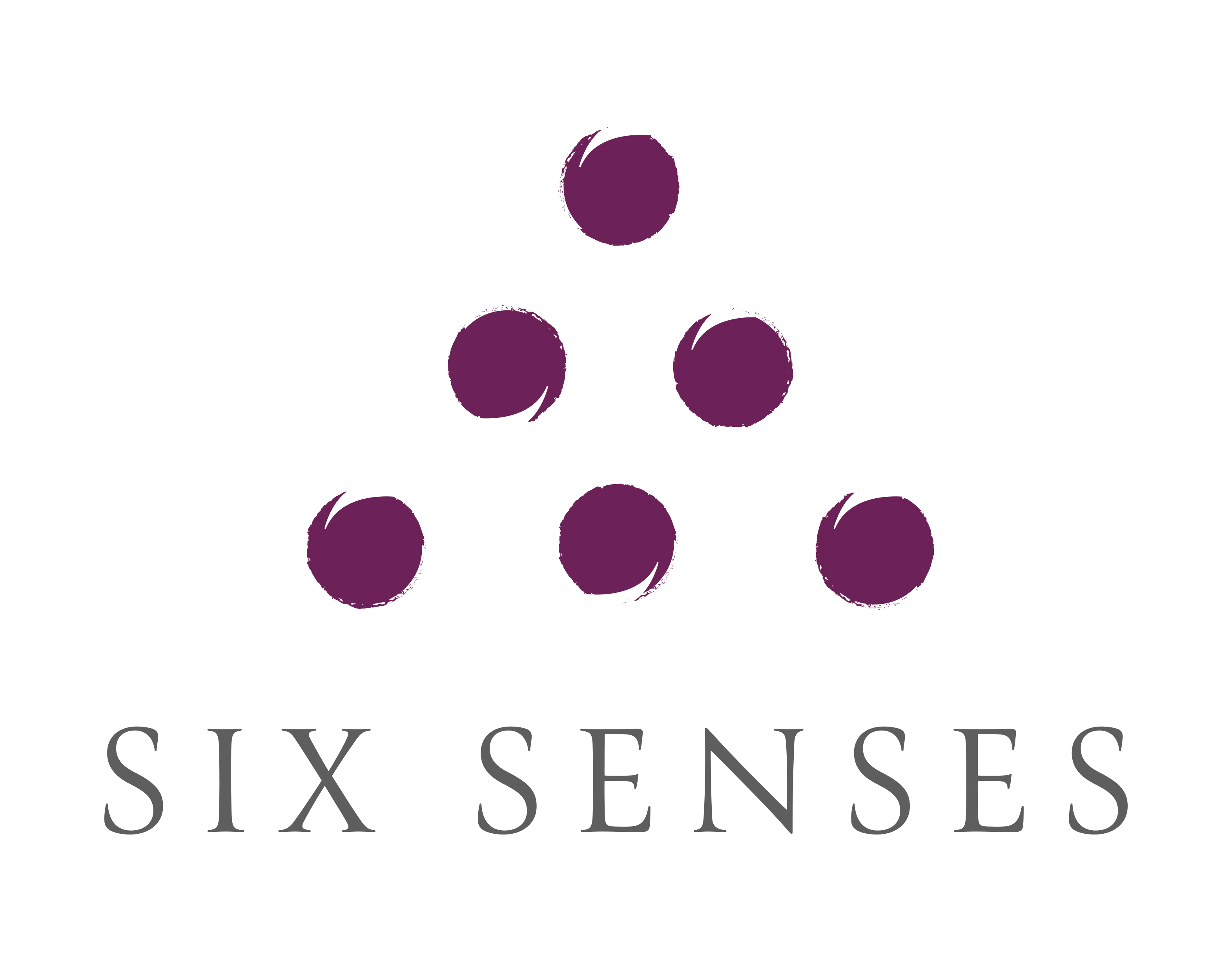 Six Senses Logo