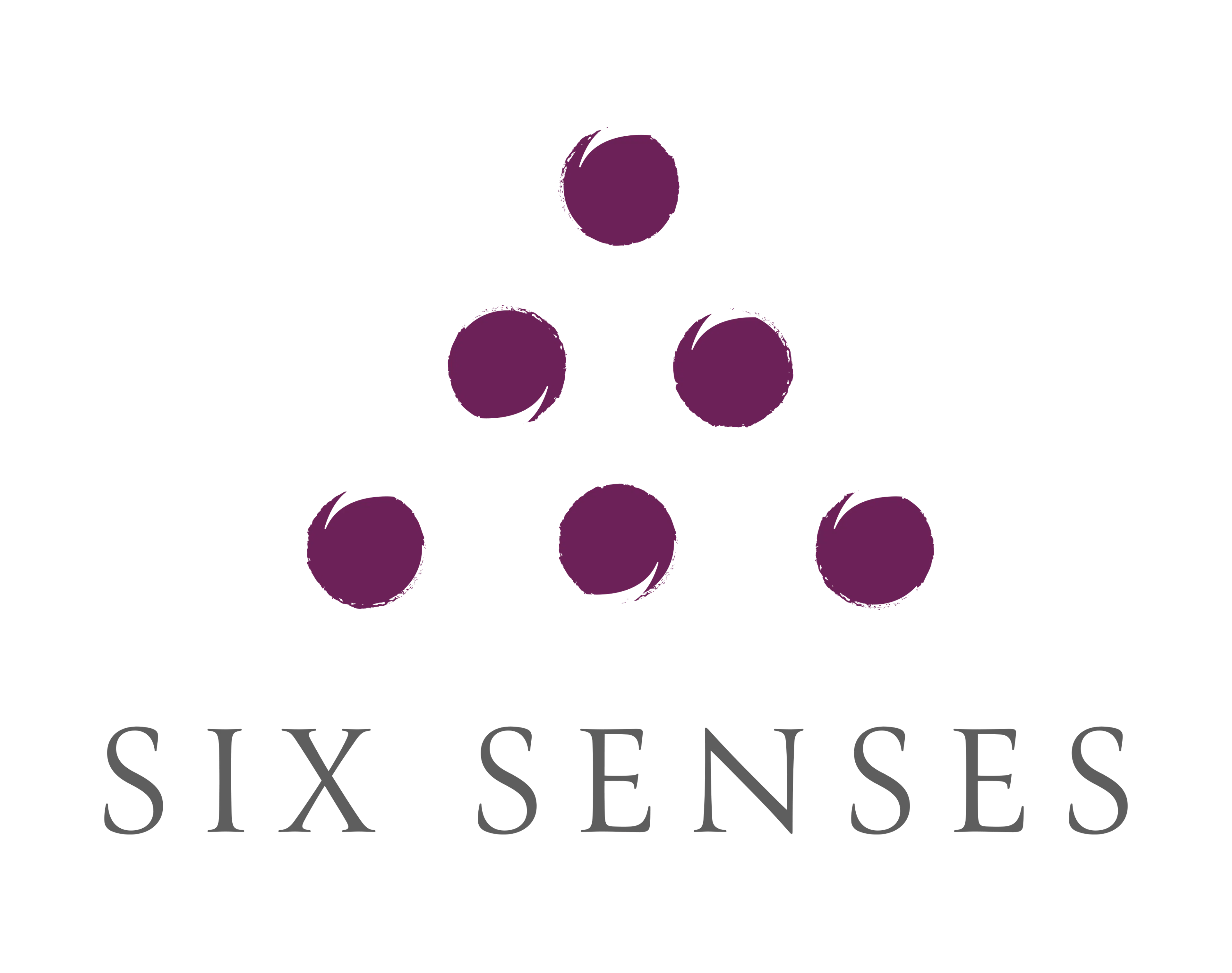Six Senses Logo