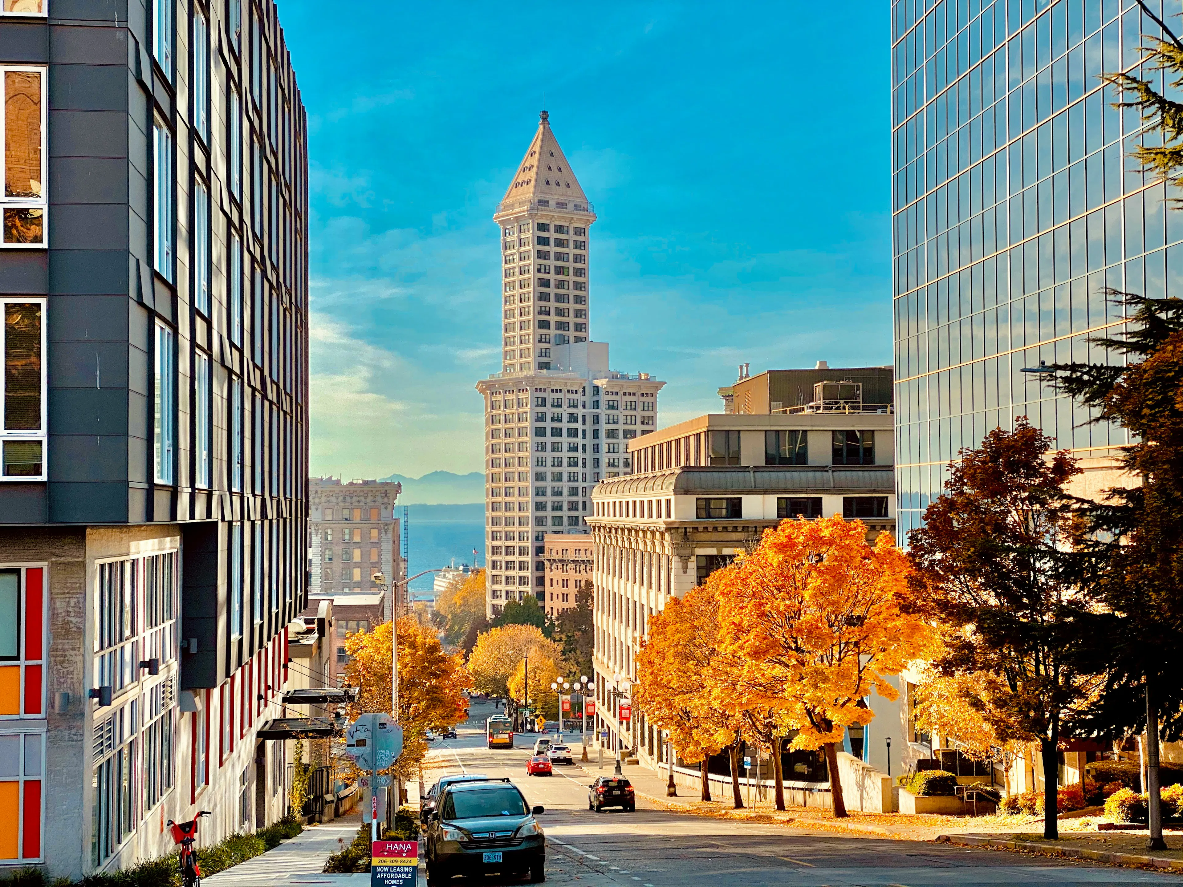 Downtown Seattle street lined with office buildings, autumn trees, and the Smith Tower in the distance.