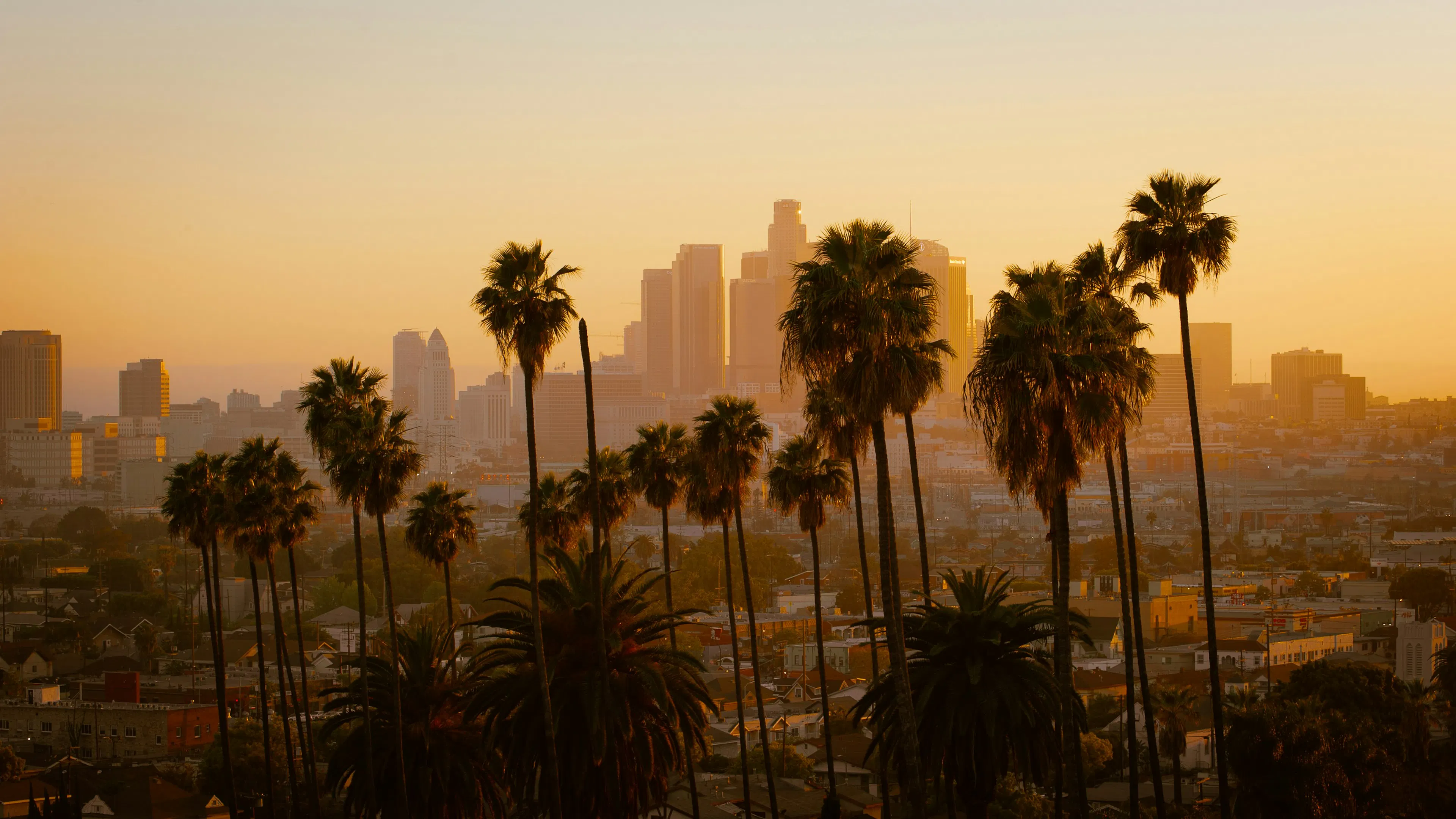Downtown Los Angeles skyline and palm trees at sunset