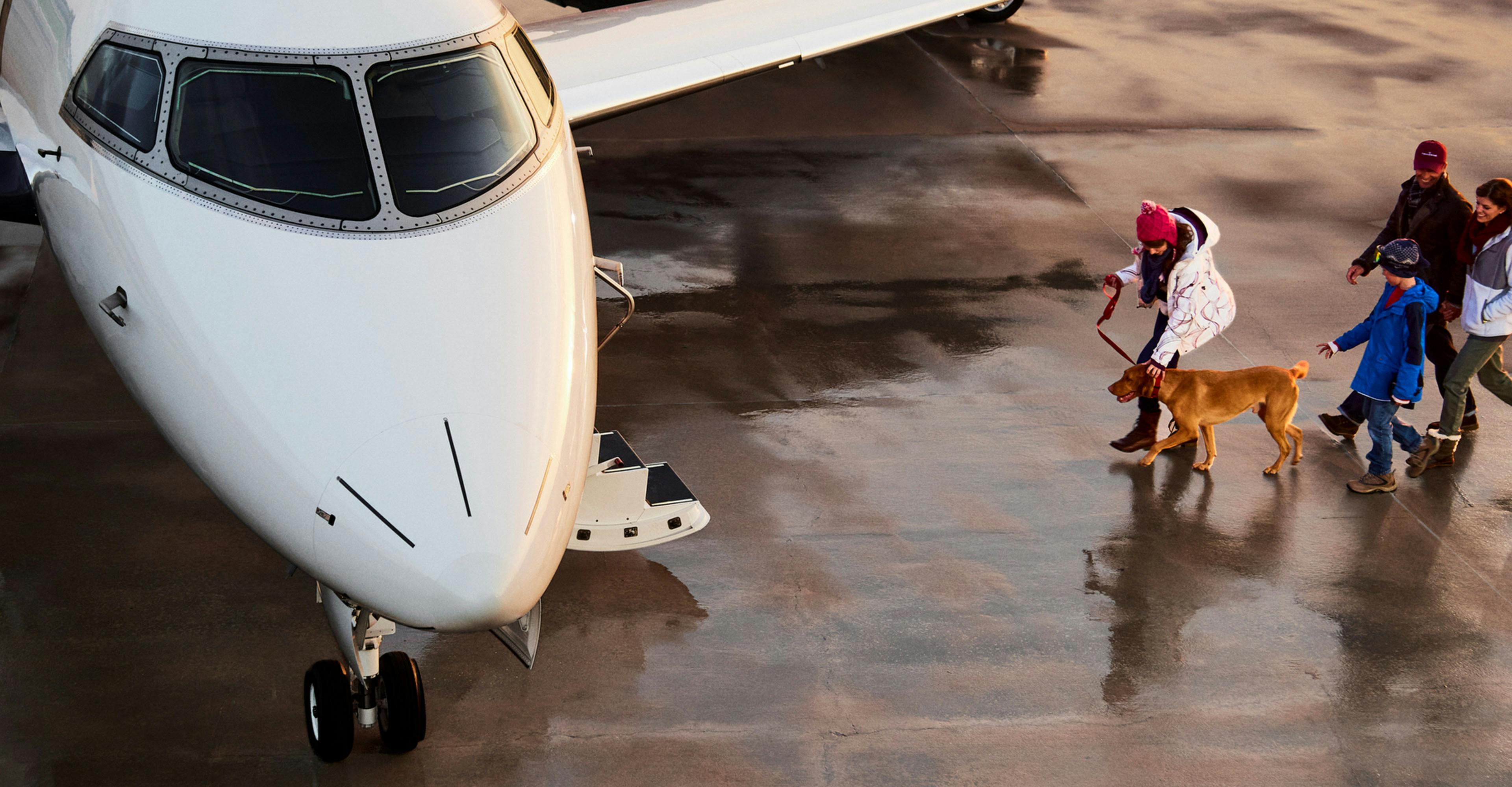 a pet about to board a private jet