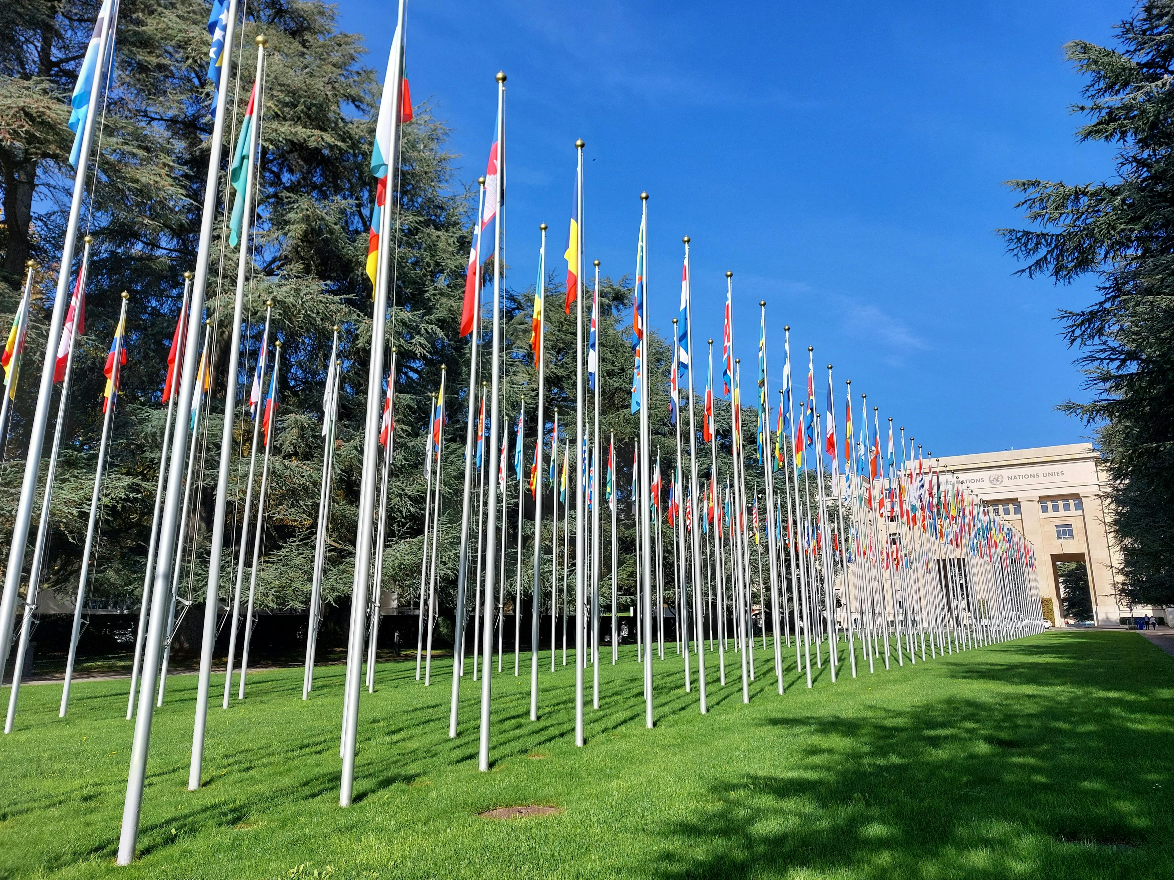Many flags and flagpoles line a stretch of yard in front of a building