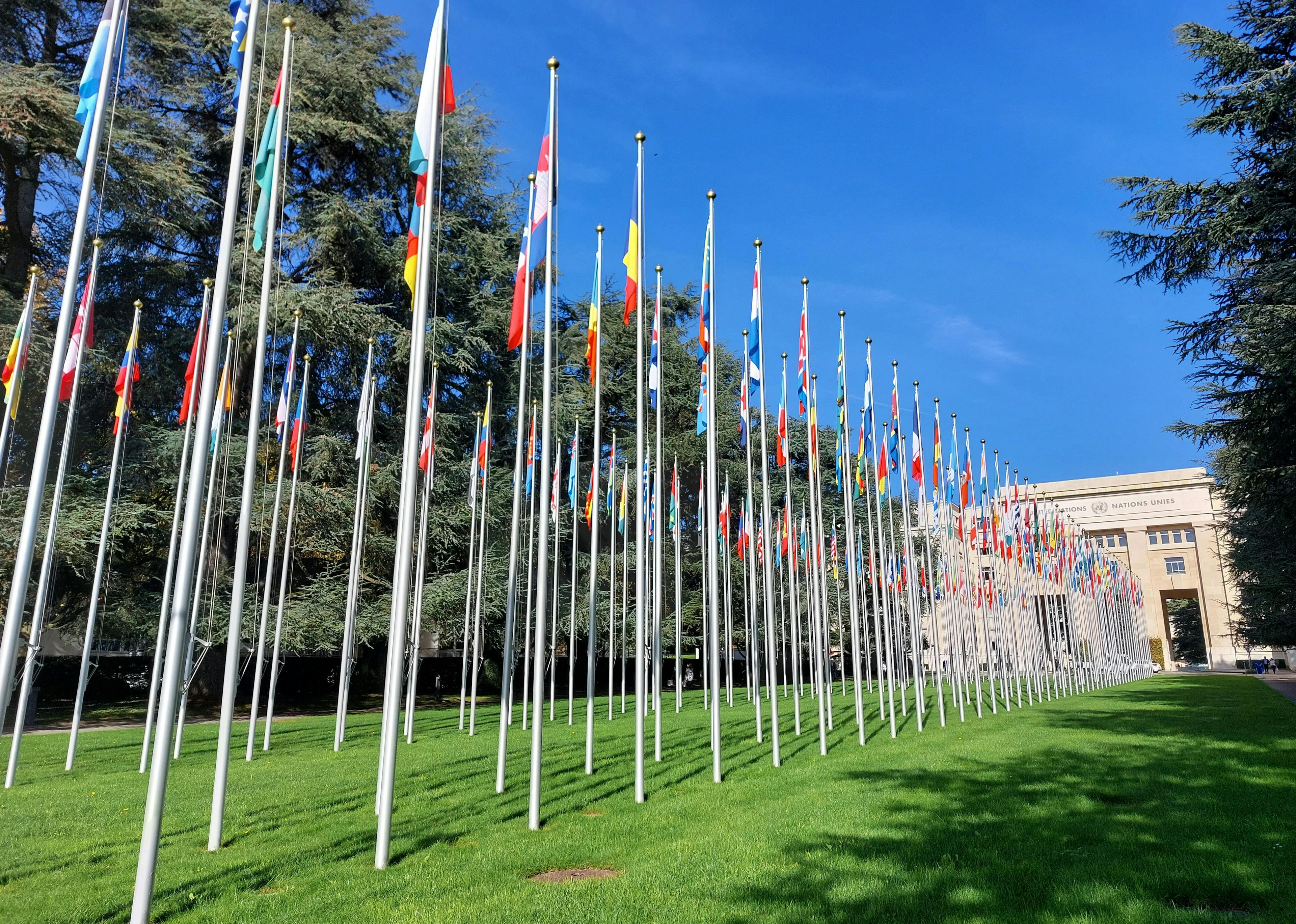 Une élégante enfilade de drapeaux s’étend devant une bâtiment.