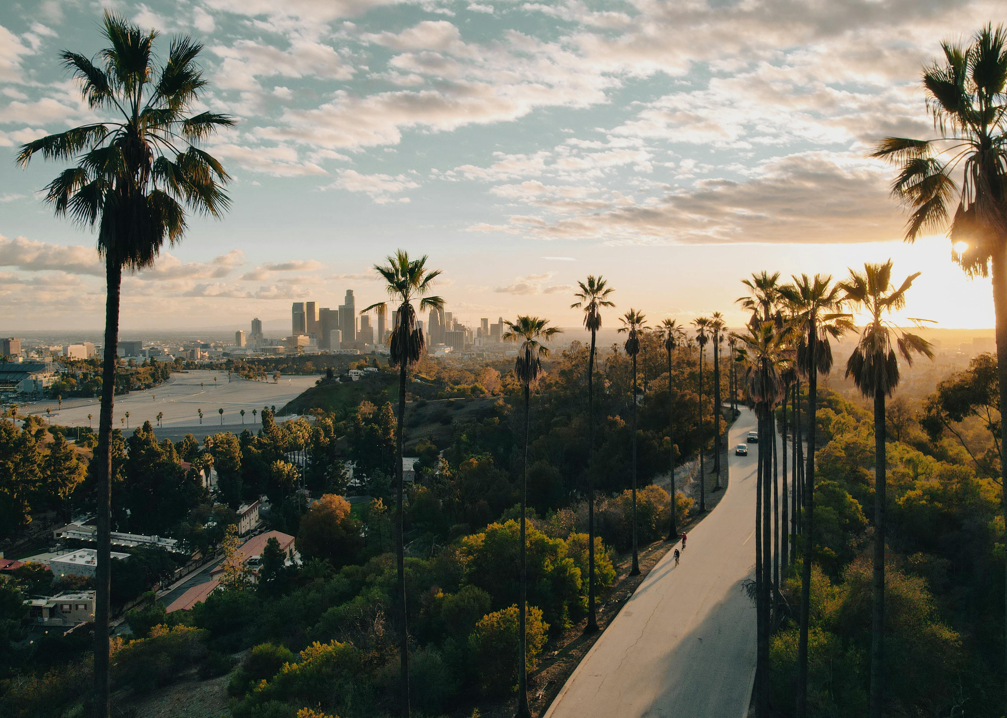 Sunset illuminating the LA skyline in the background of a road running through palm trees