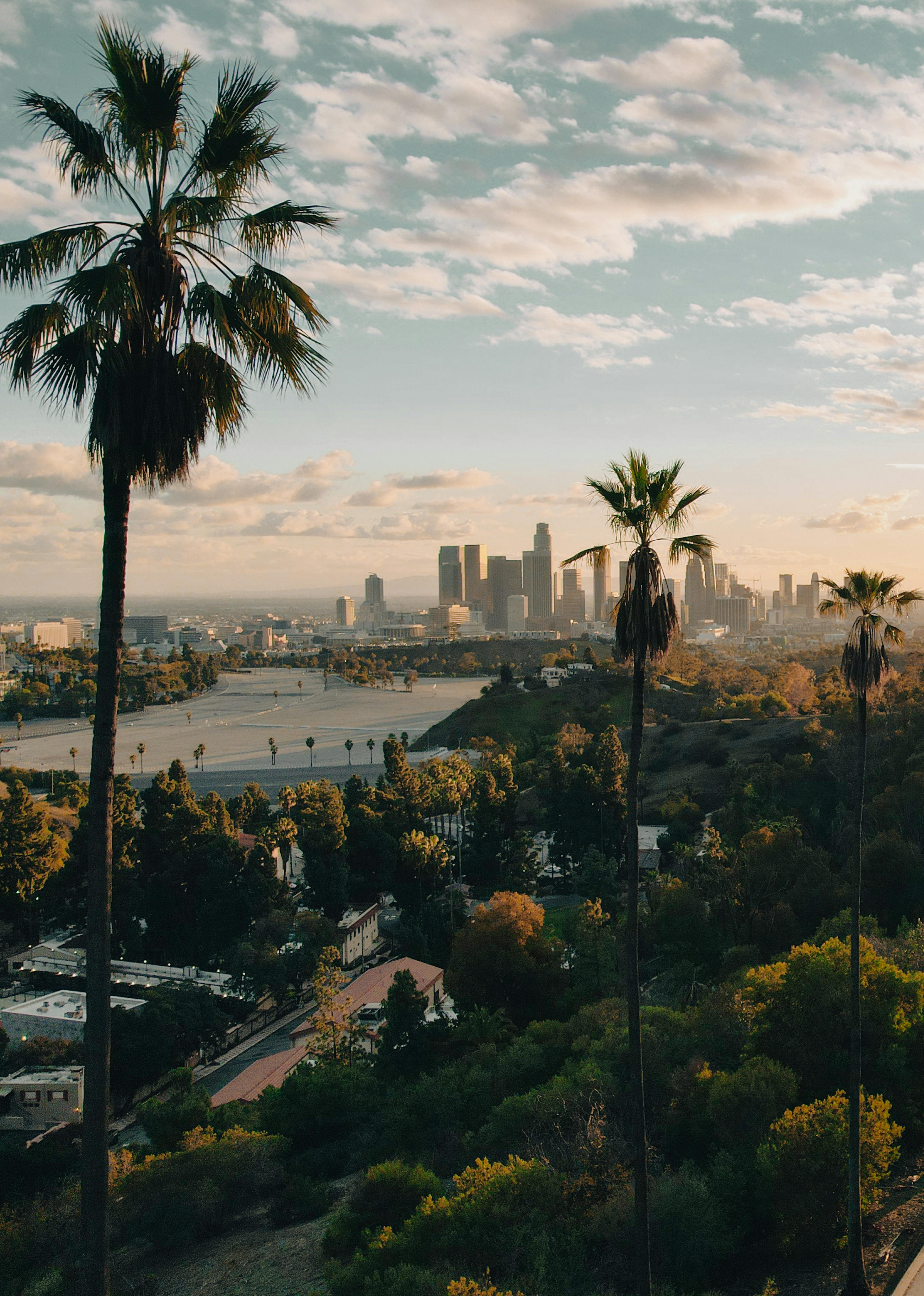 Sunset illuminating the LA skyline in the background of a road running through palm trees
