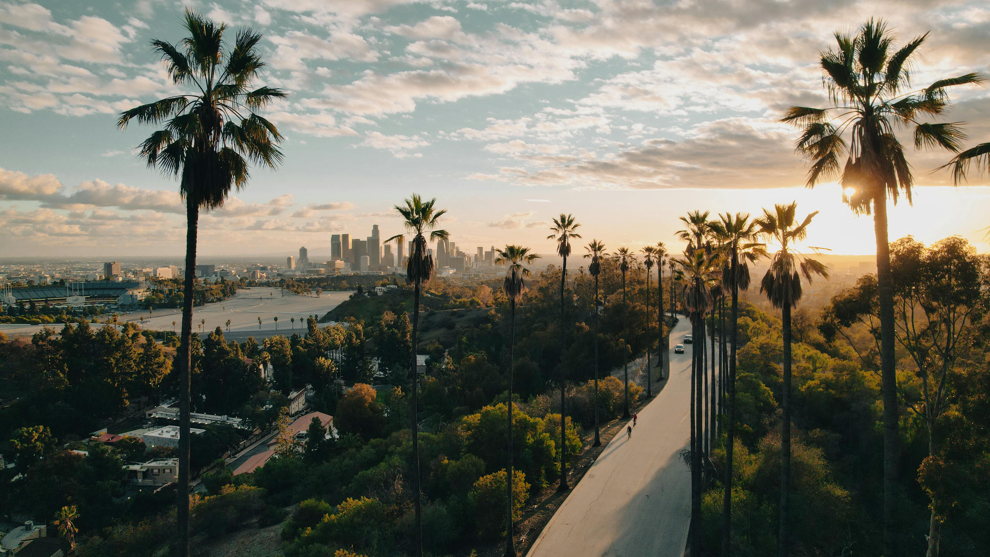 Sunset illuminating the LA skyline in the background of a road running through palm trees