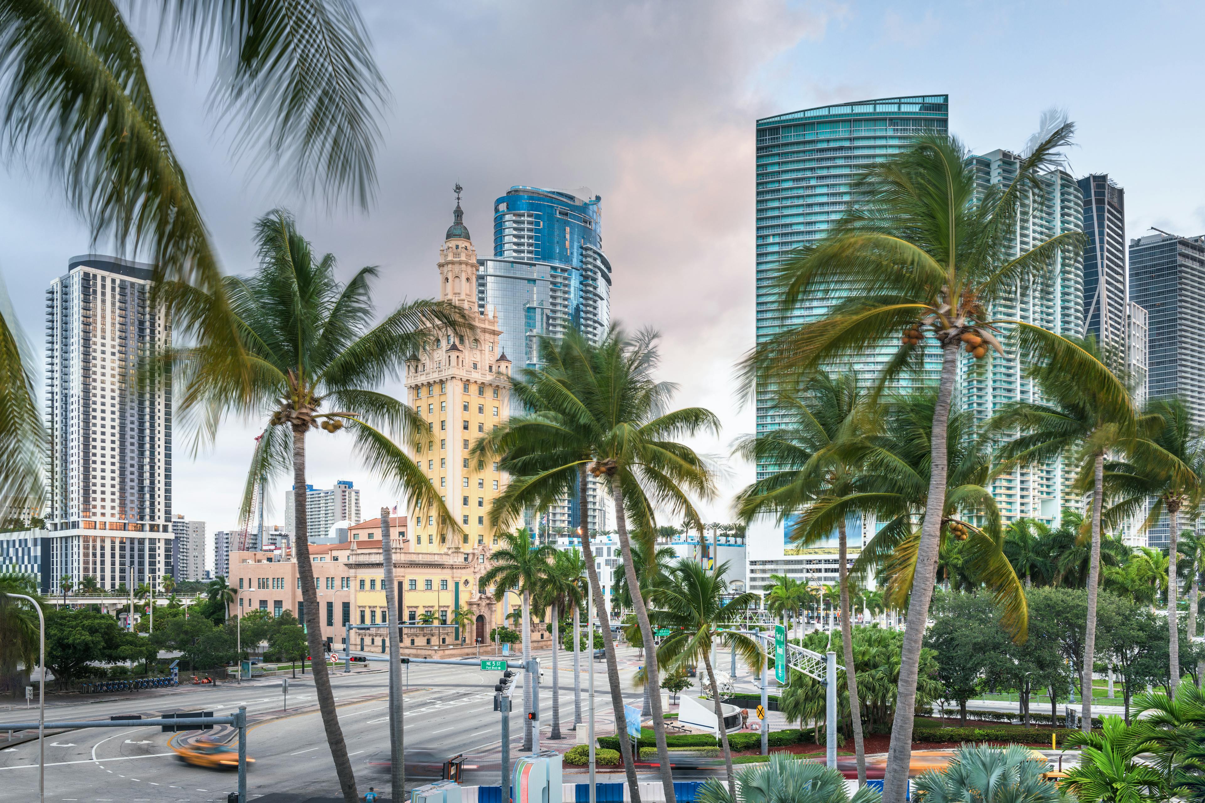 Palm trees and buildings