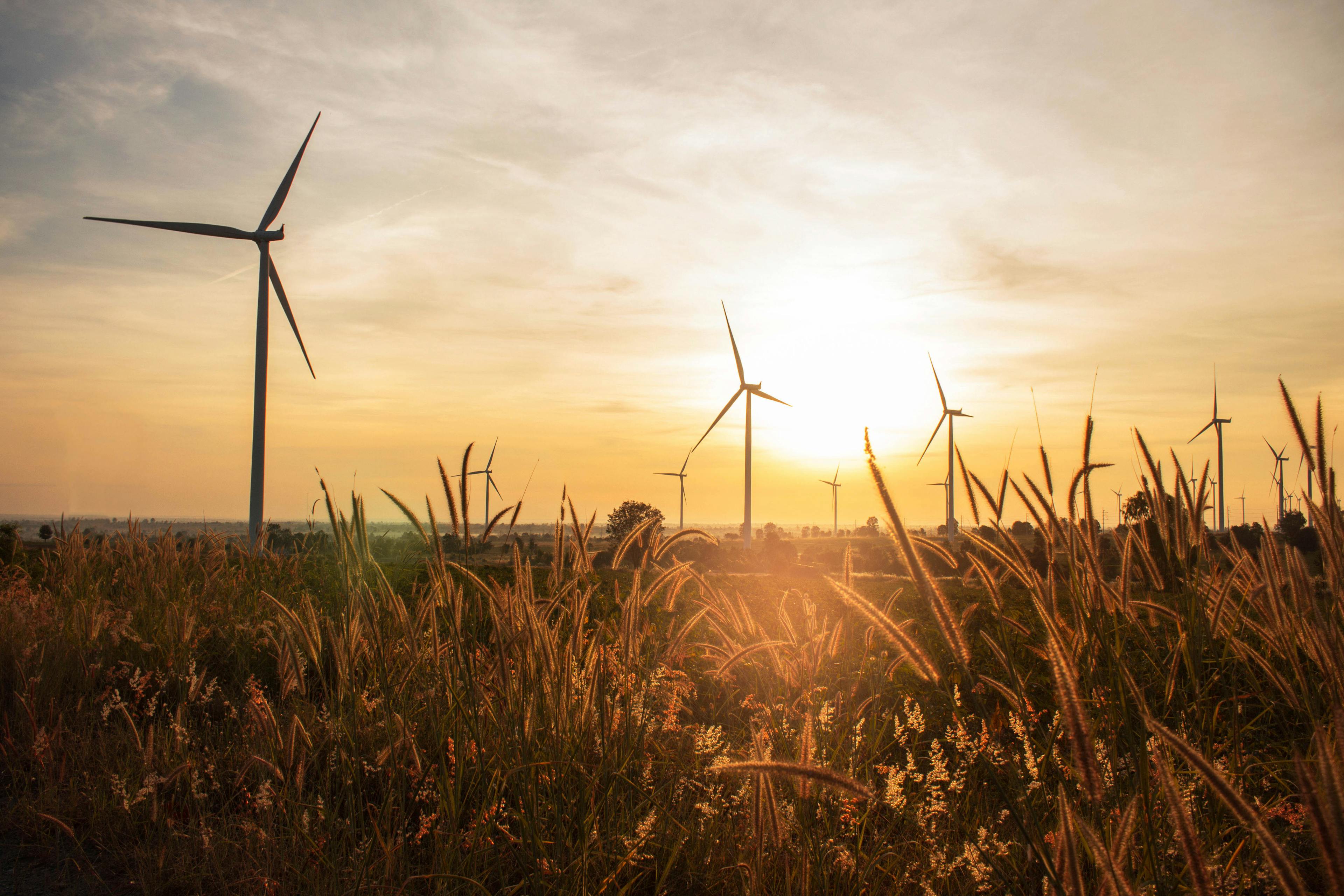 Windmills in the background of a sunset on a prairie