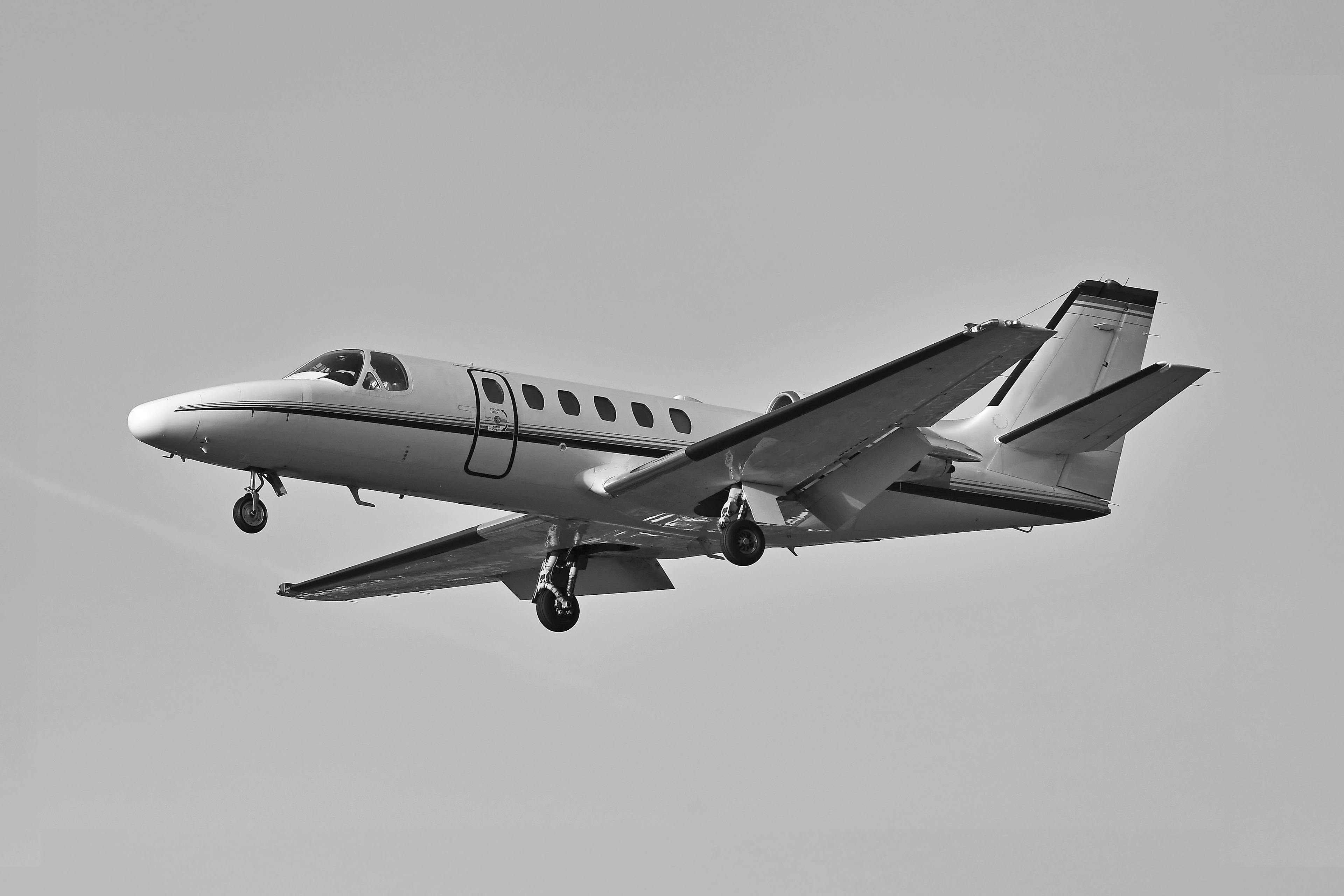 citation bravo image in black and white