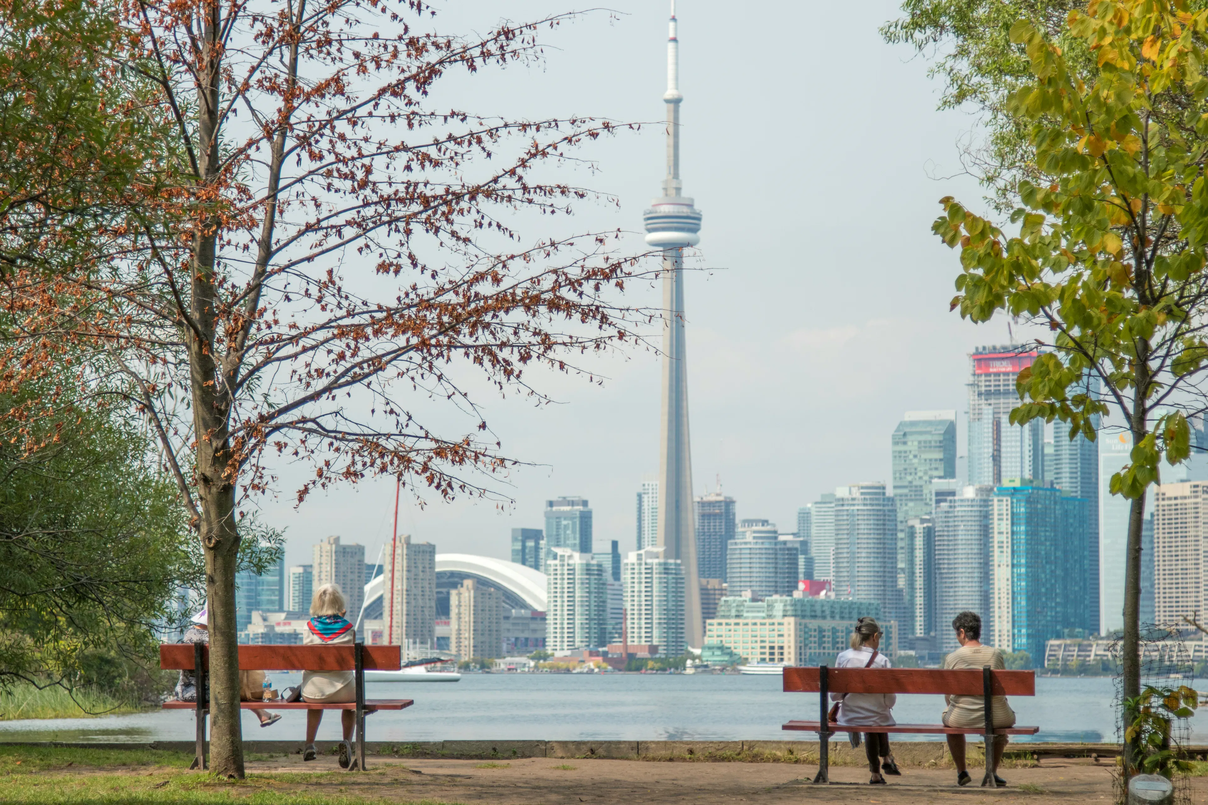 People seated on benches facing the Toronto skyline and CN Tower across the water.