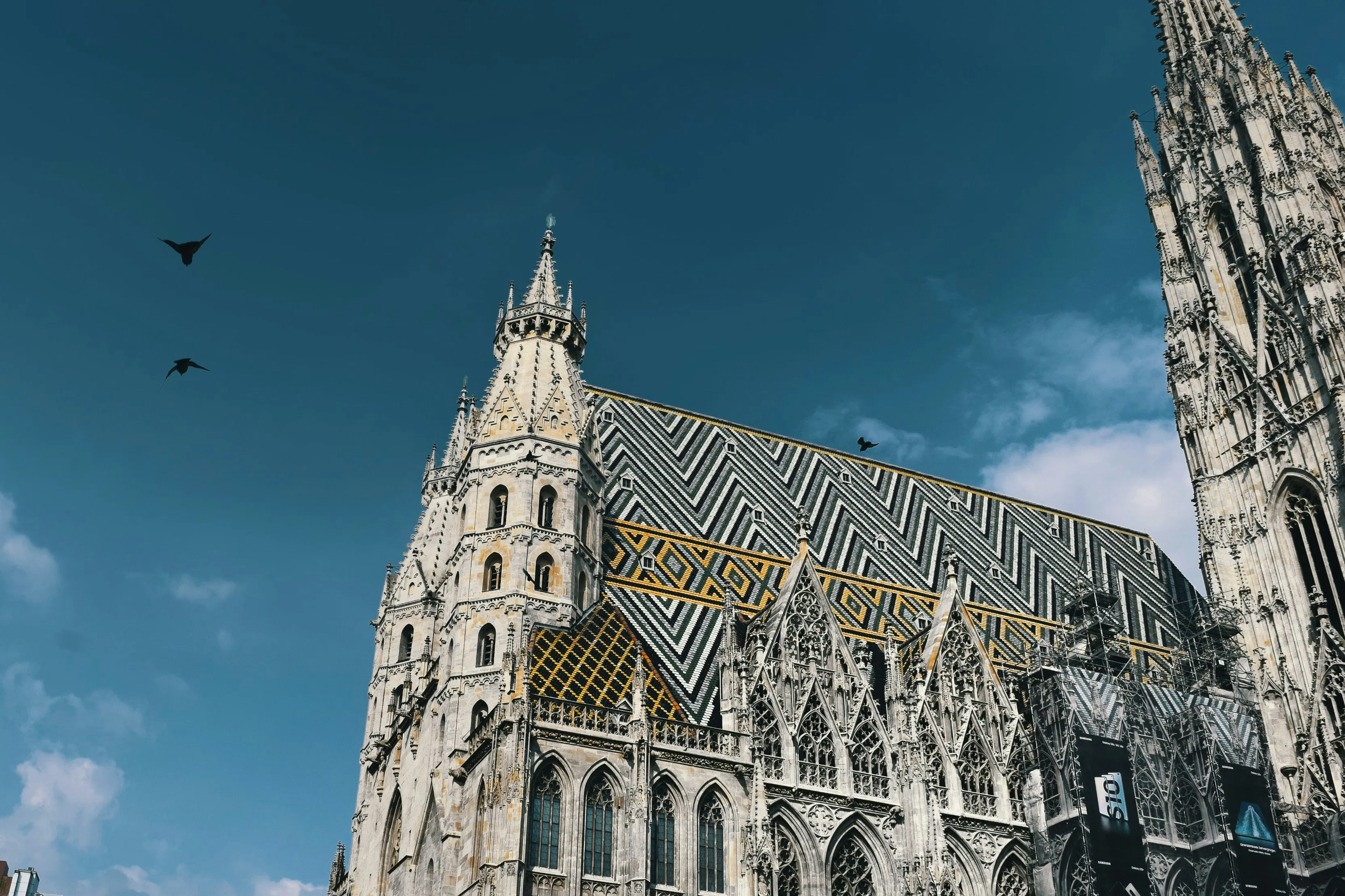 Gothic cathedral in Vienna with patterned roof tiles, tall stone spires, and birds flying overhead.