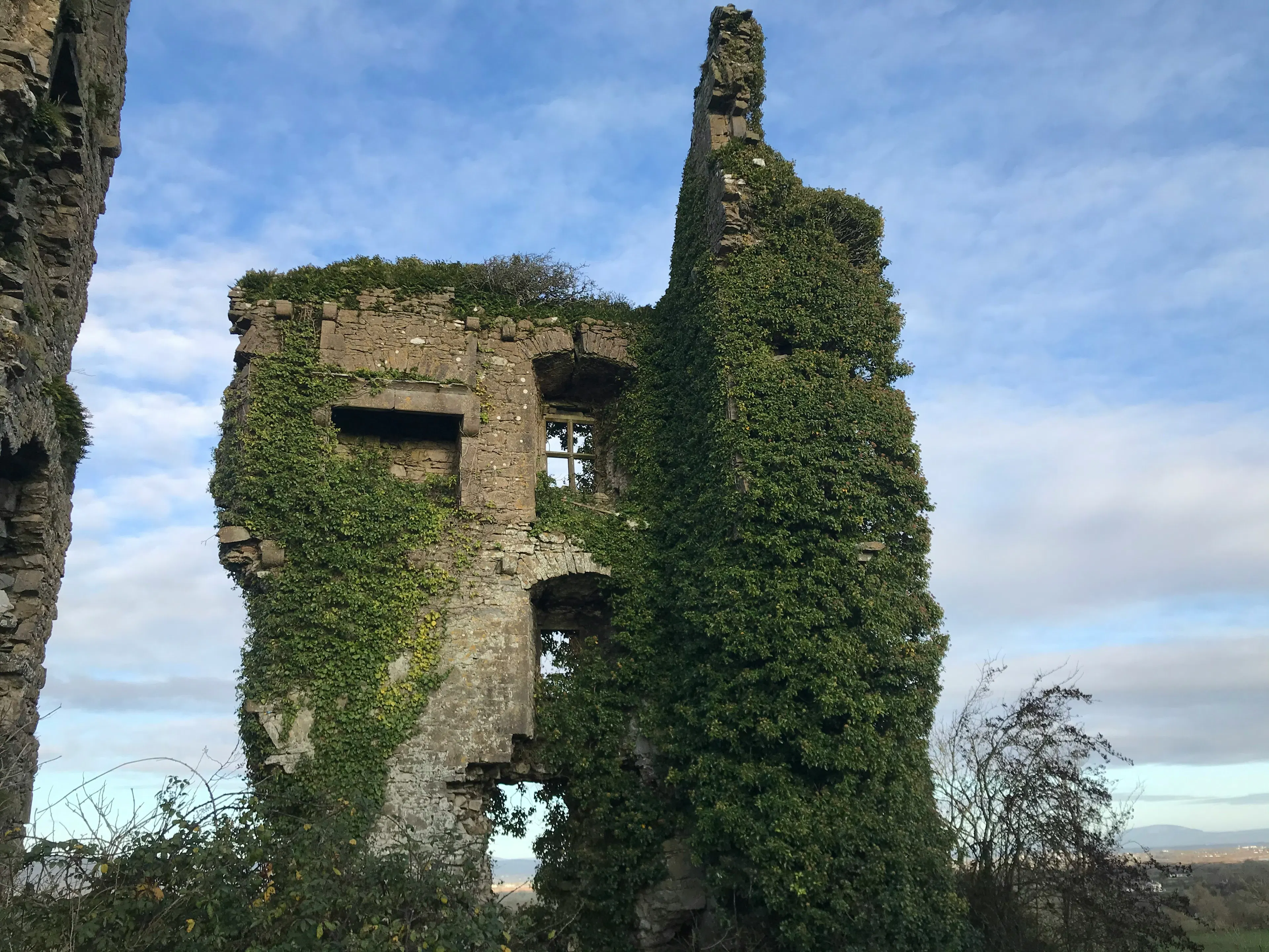 Stone castle ruins covered in ivy with arched windows and walls beneath a cloudy sky.